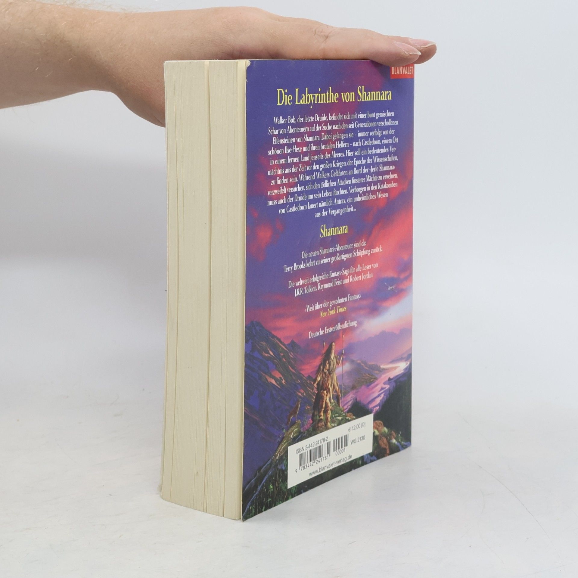 Terry Brooks Die Labyrinthe von Shannara
