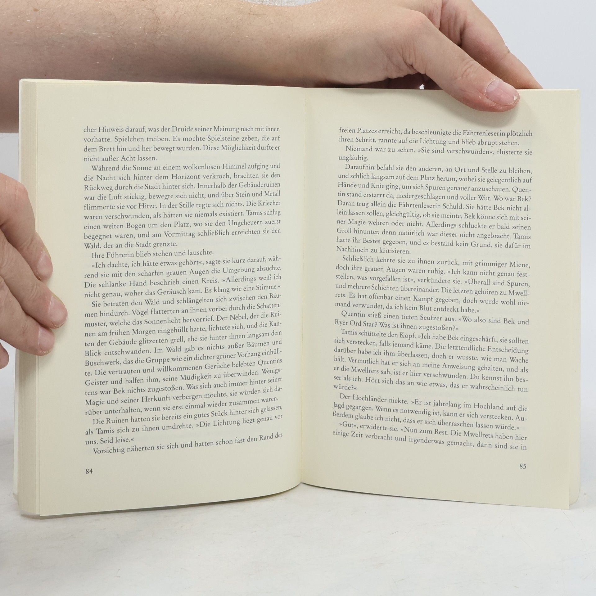 Terry Brooks Die Labyrinthe von Shannara