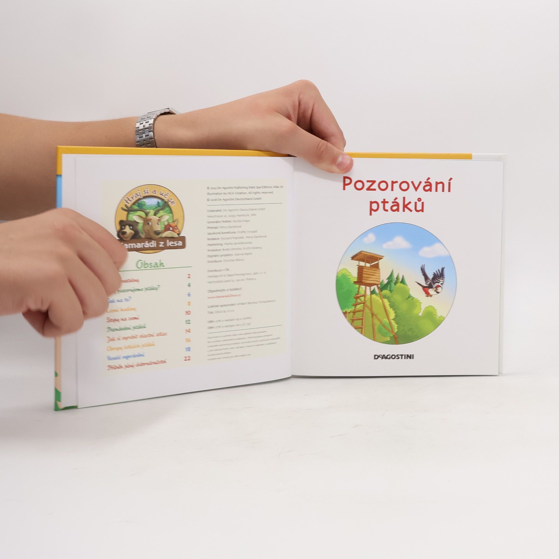 Autorenkollektiv Tajemství lesa 59. Pozorování ptáků