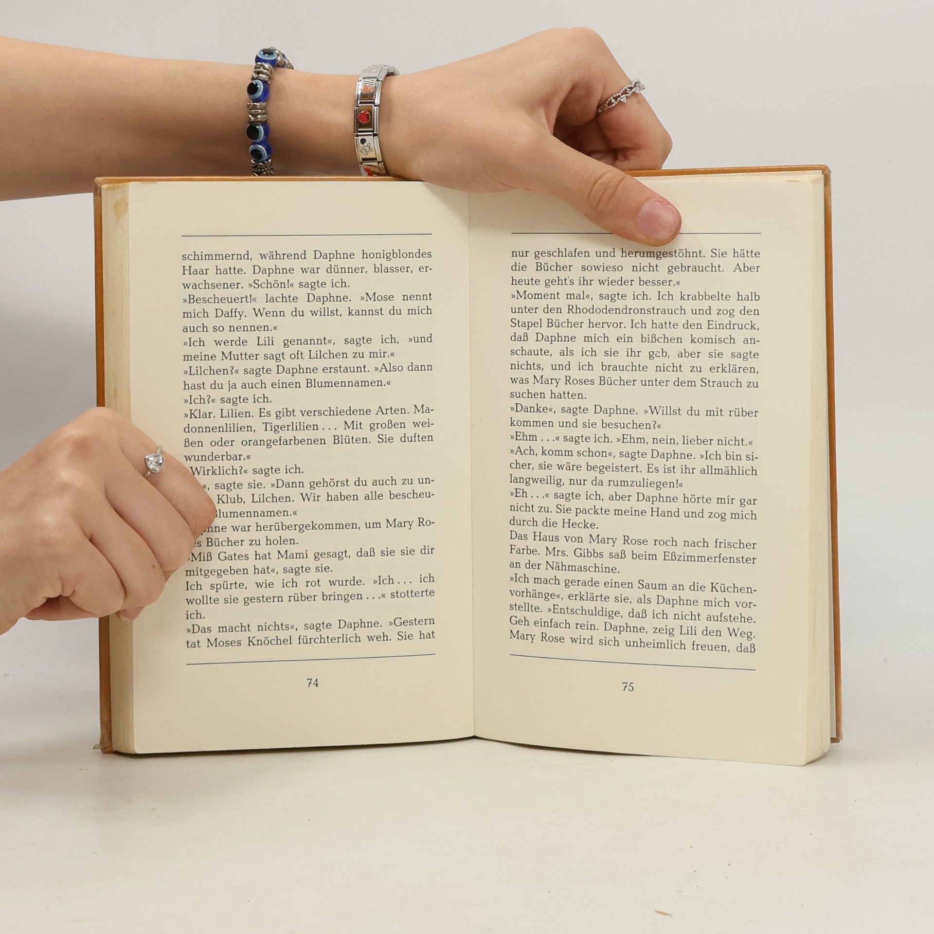 Ellen Howard Lilians Geheimnis