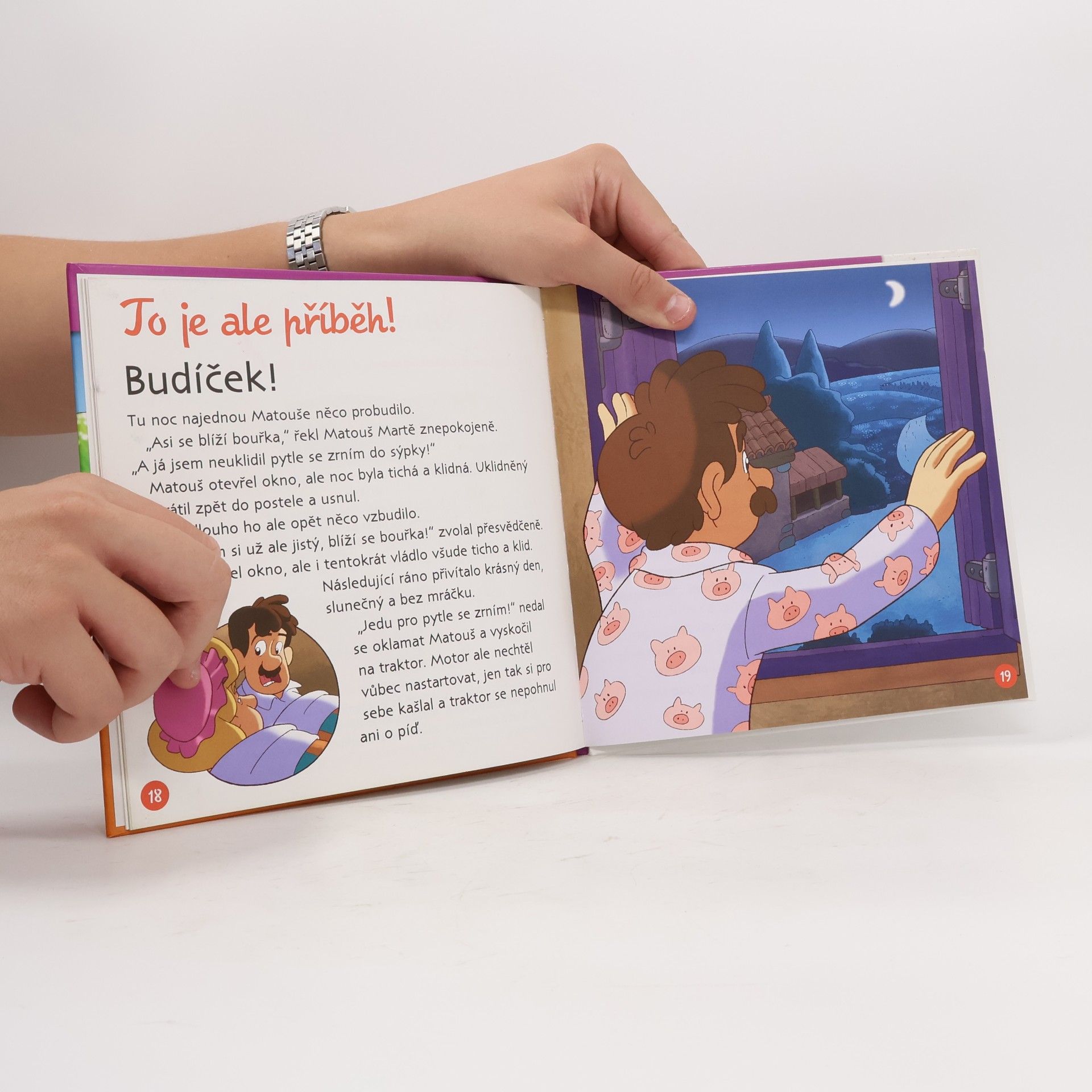 Autorenkollektiv Výrobky z venkova 25. Pěstování obilí