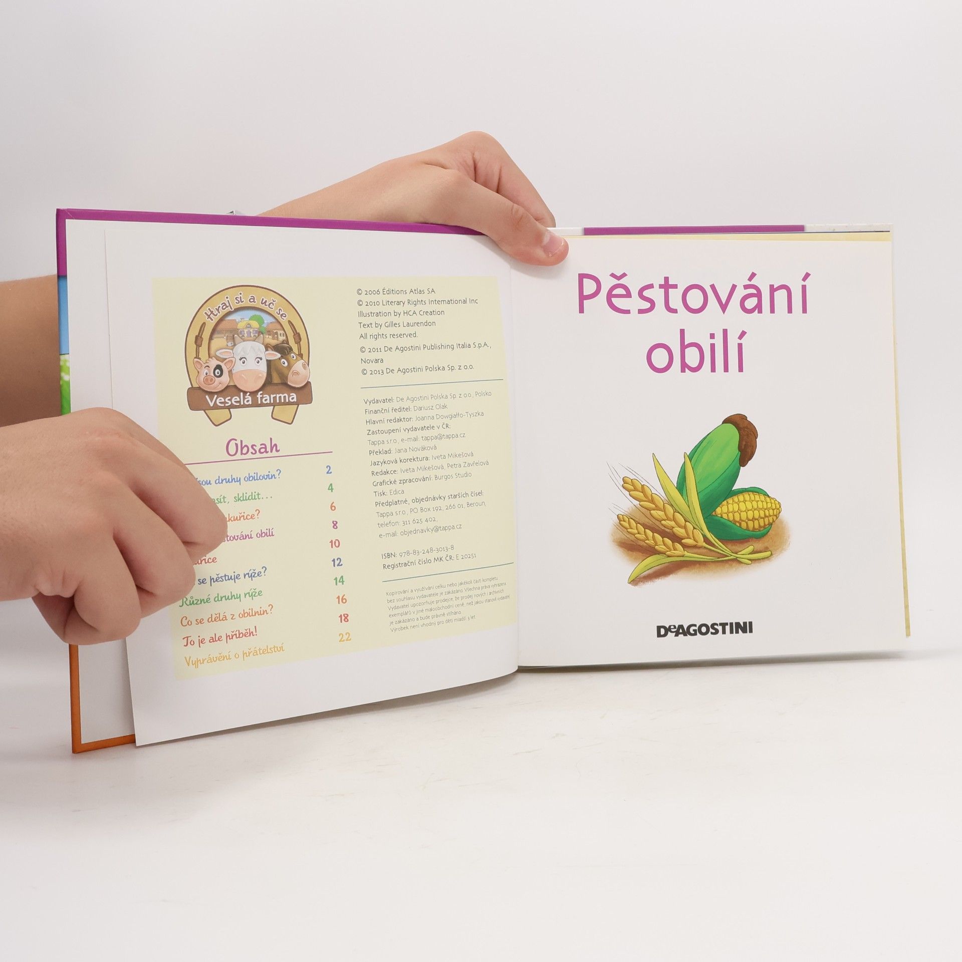 Autorenkollektiv Výrobky z venkova 25. Pěstování obilí
