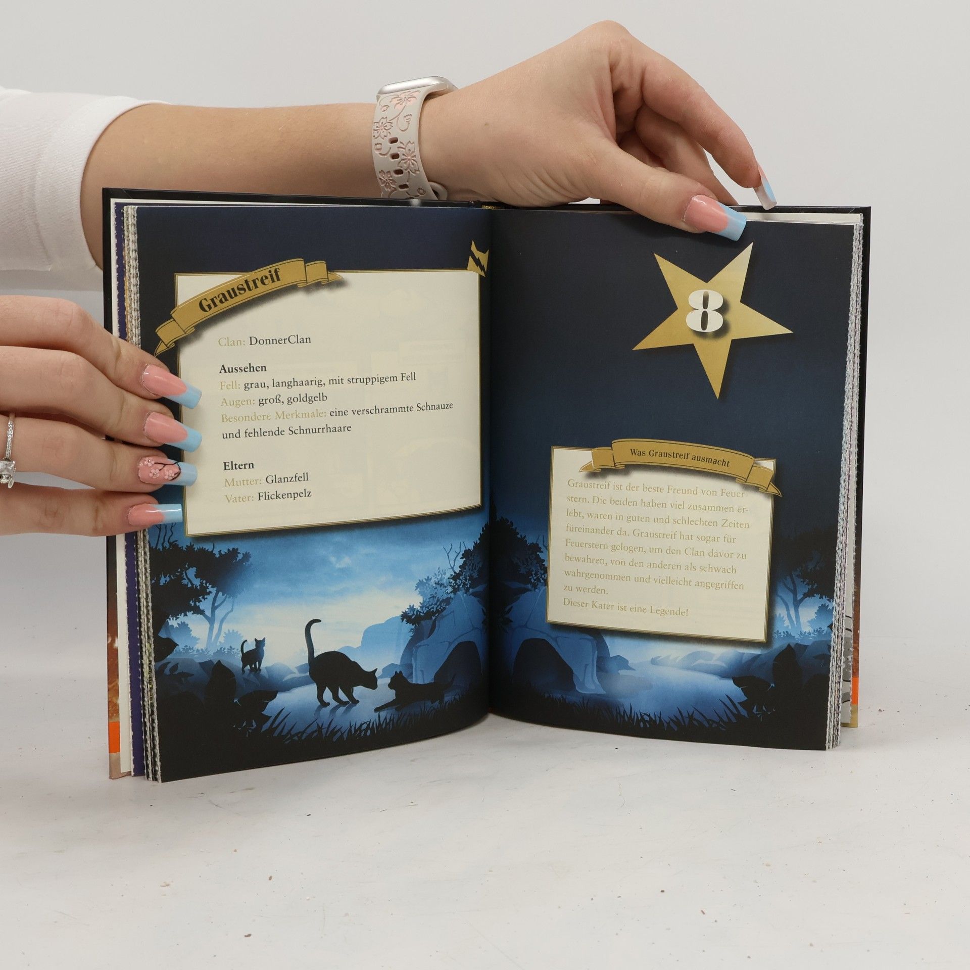 Erin Hunter Warrior Cats - Adventskalenderbuch