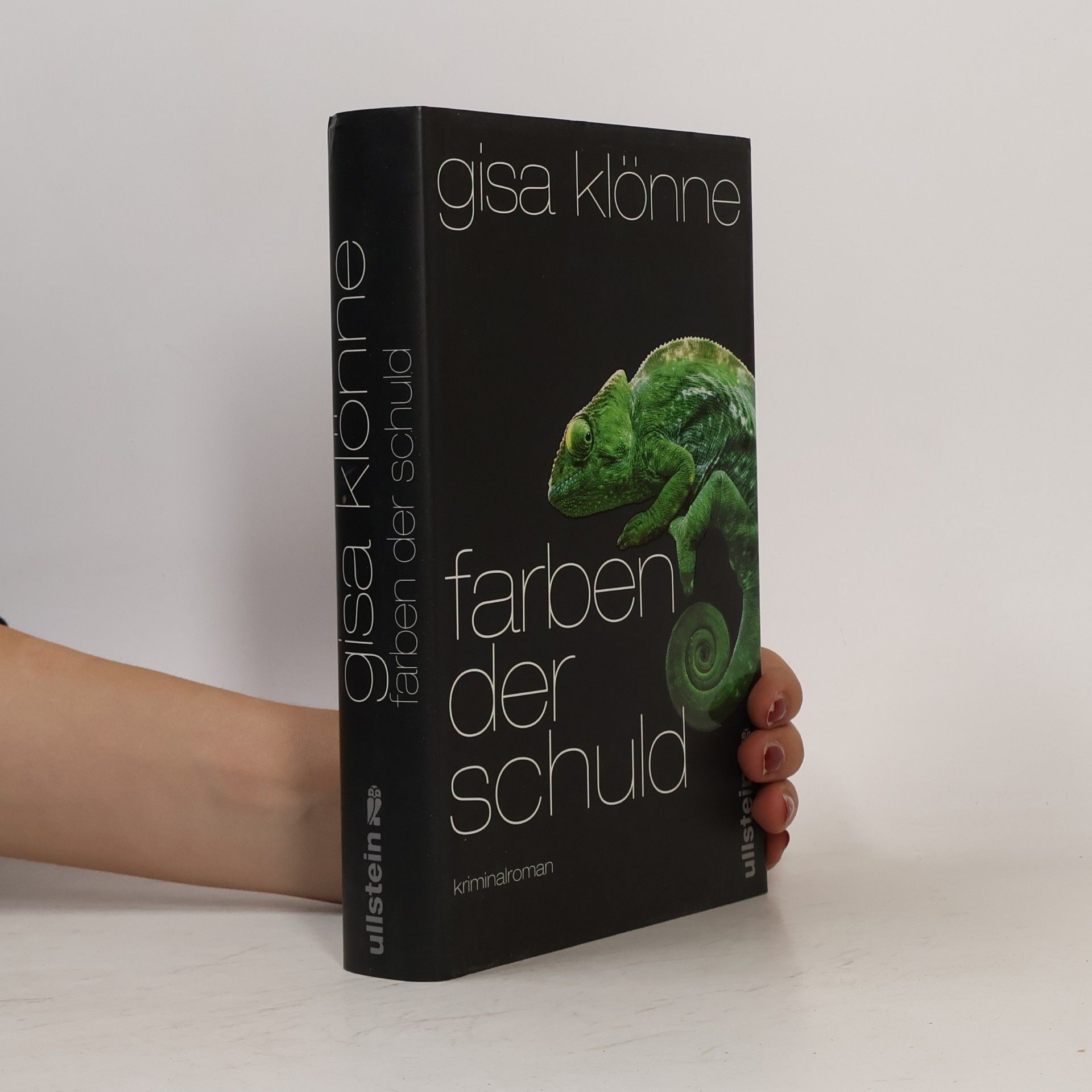 Gisa Klönne Farben der Schuld