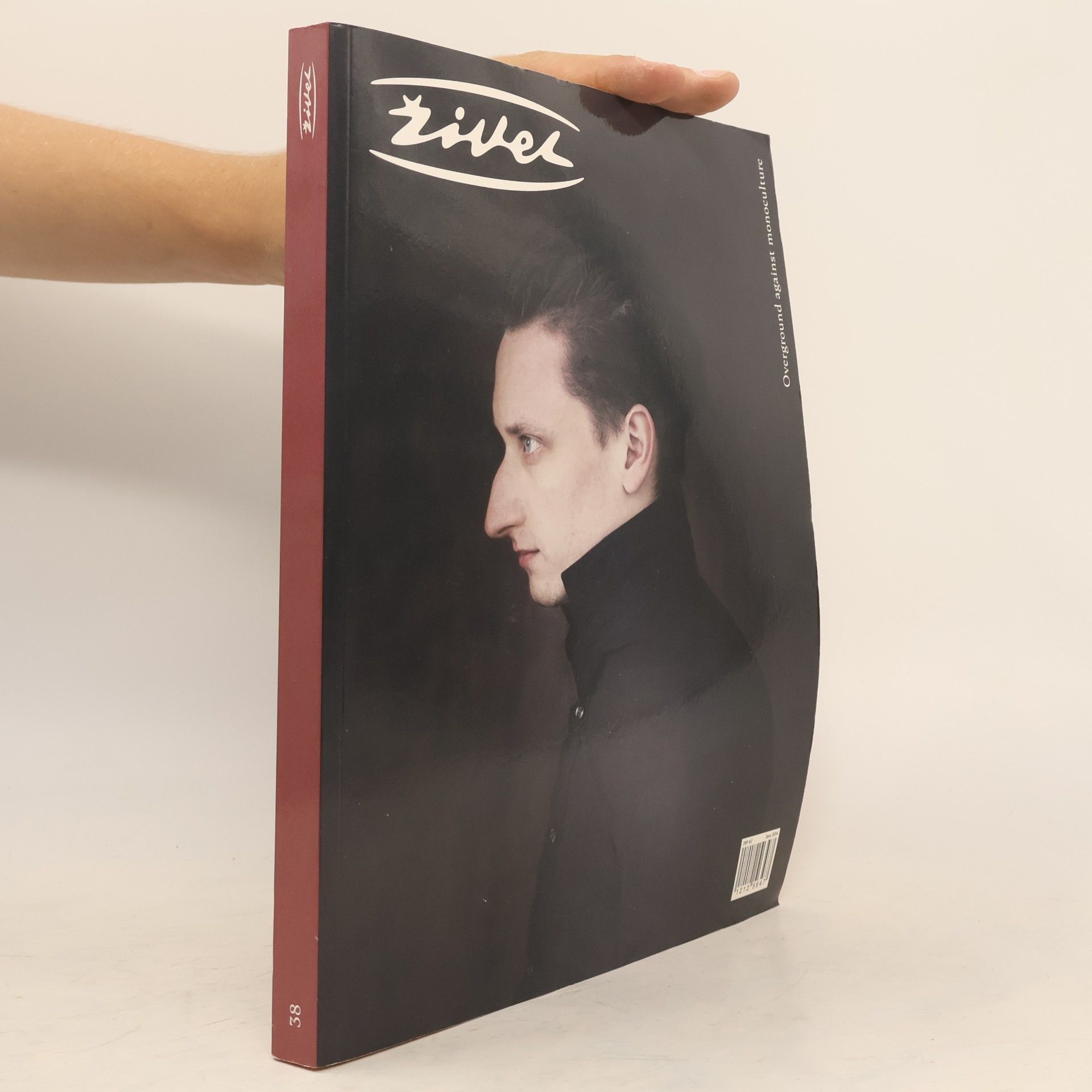 Kolektiv autorů Živel 38