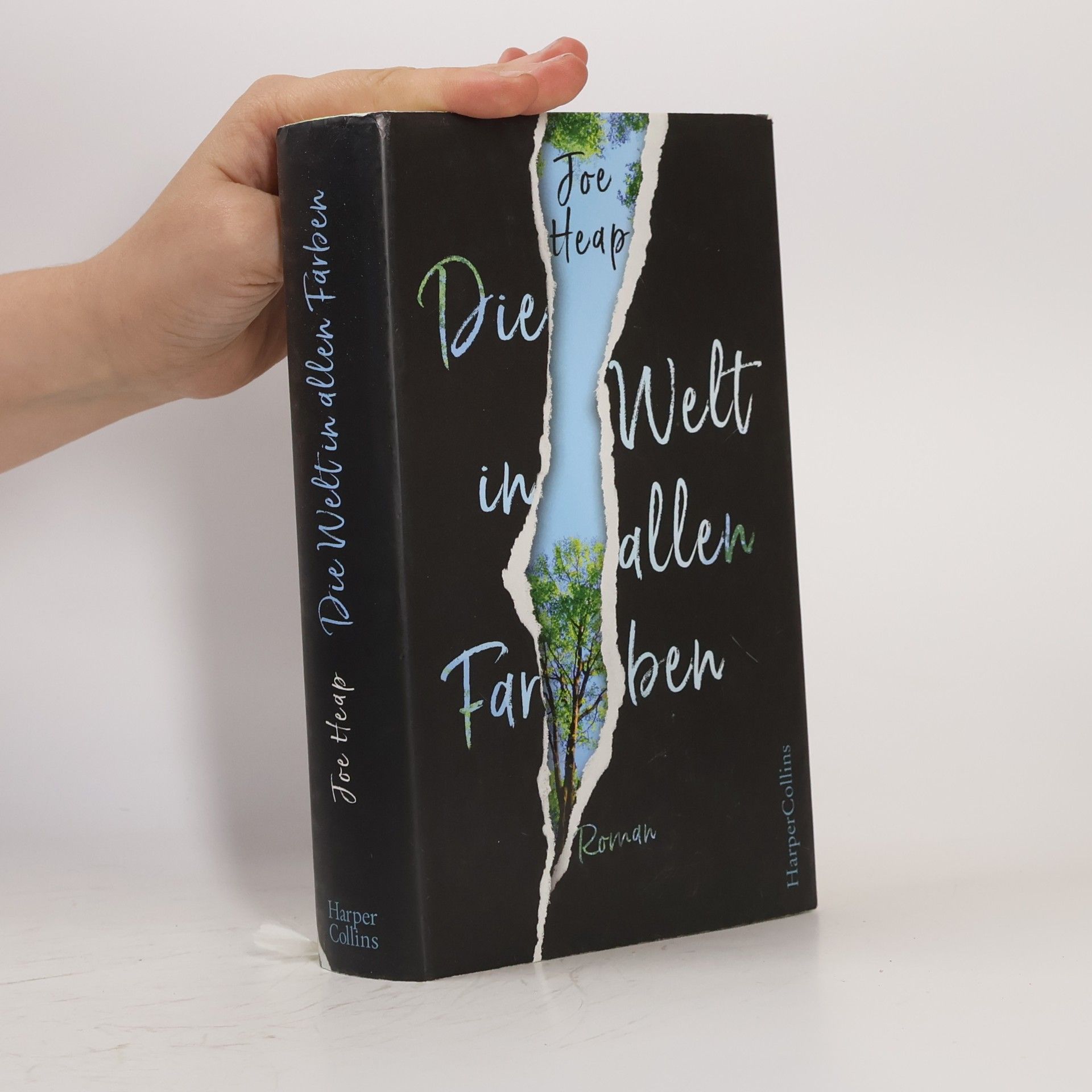 Joe Heap Die Welt in allen Farben
