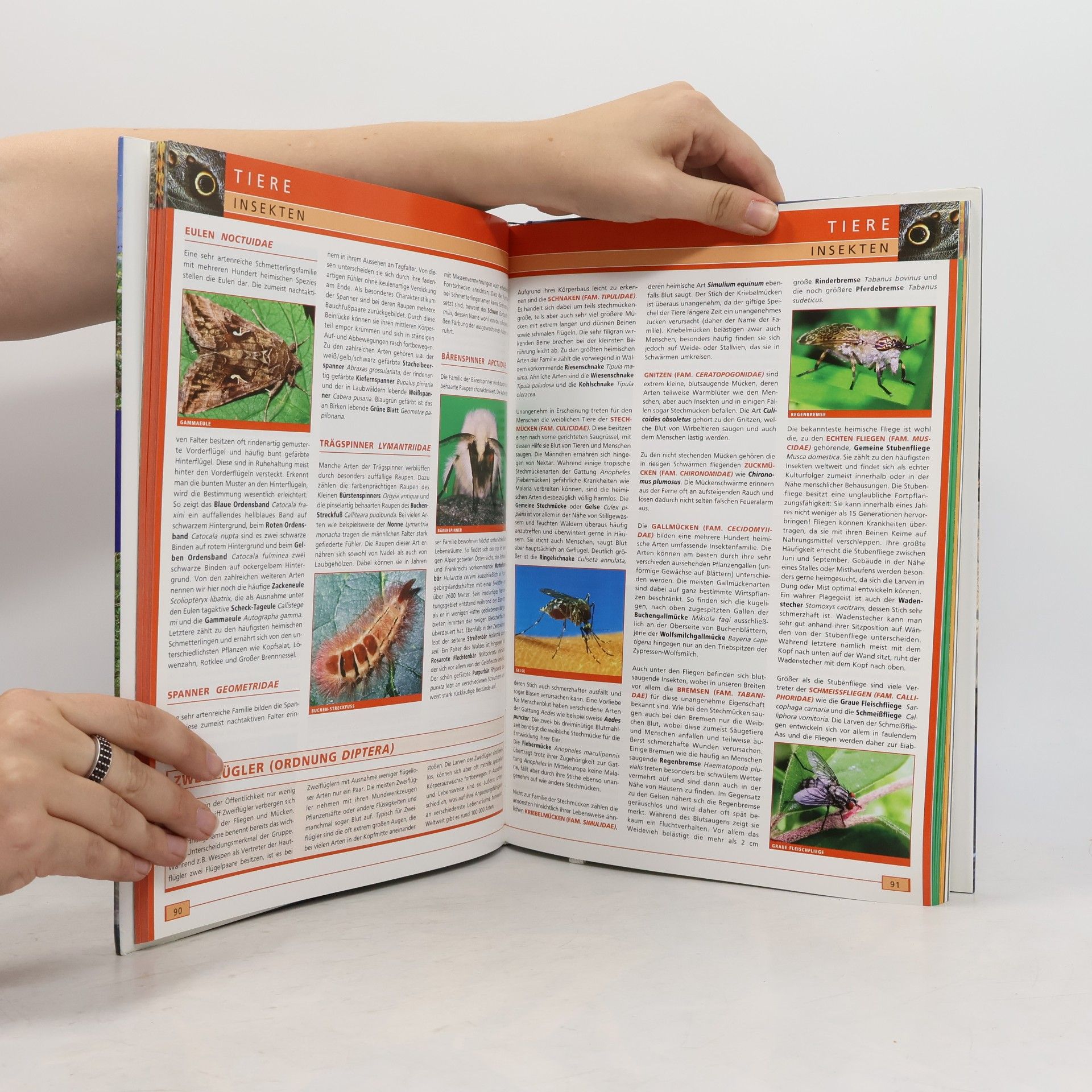 Autorenkollektiv Das grosse Naturbuch. Österreich