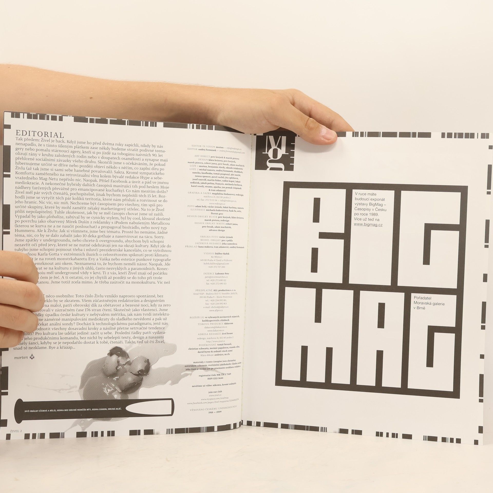 Autorenkollektiv Živel 29: Overground against Monoculture