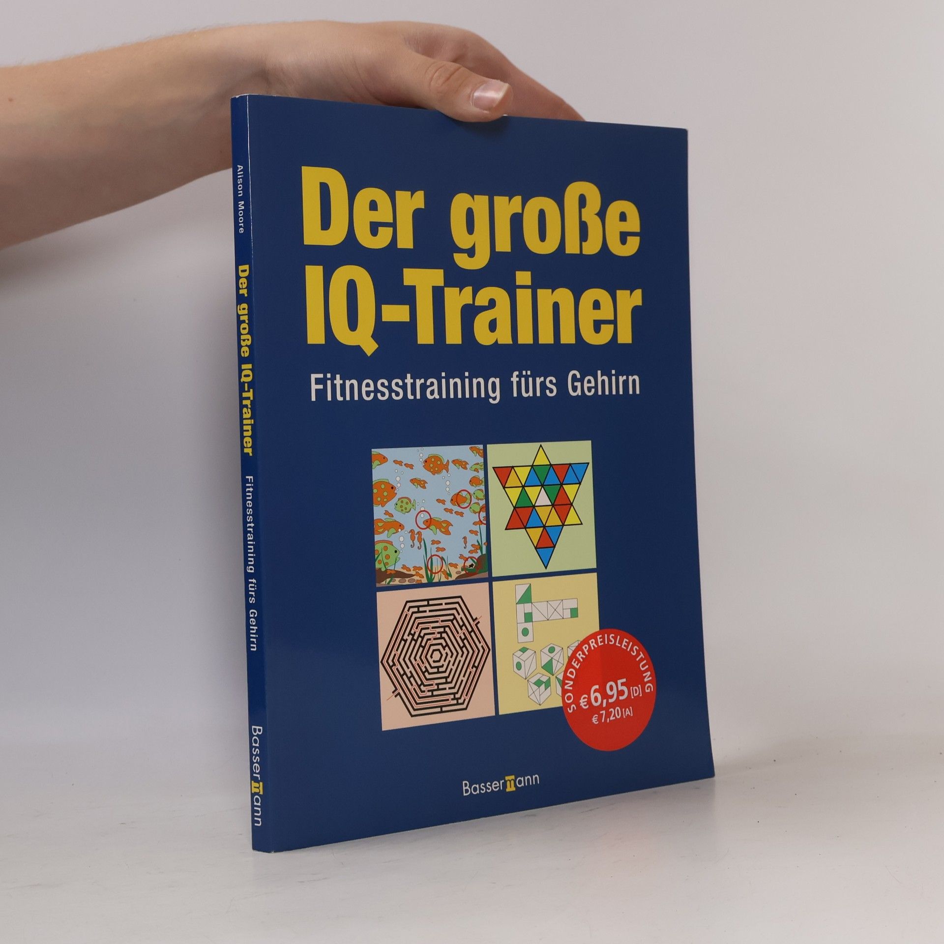 Autorenkollektiv Der große IQ-Trainer