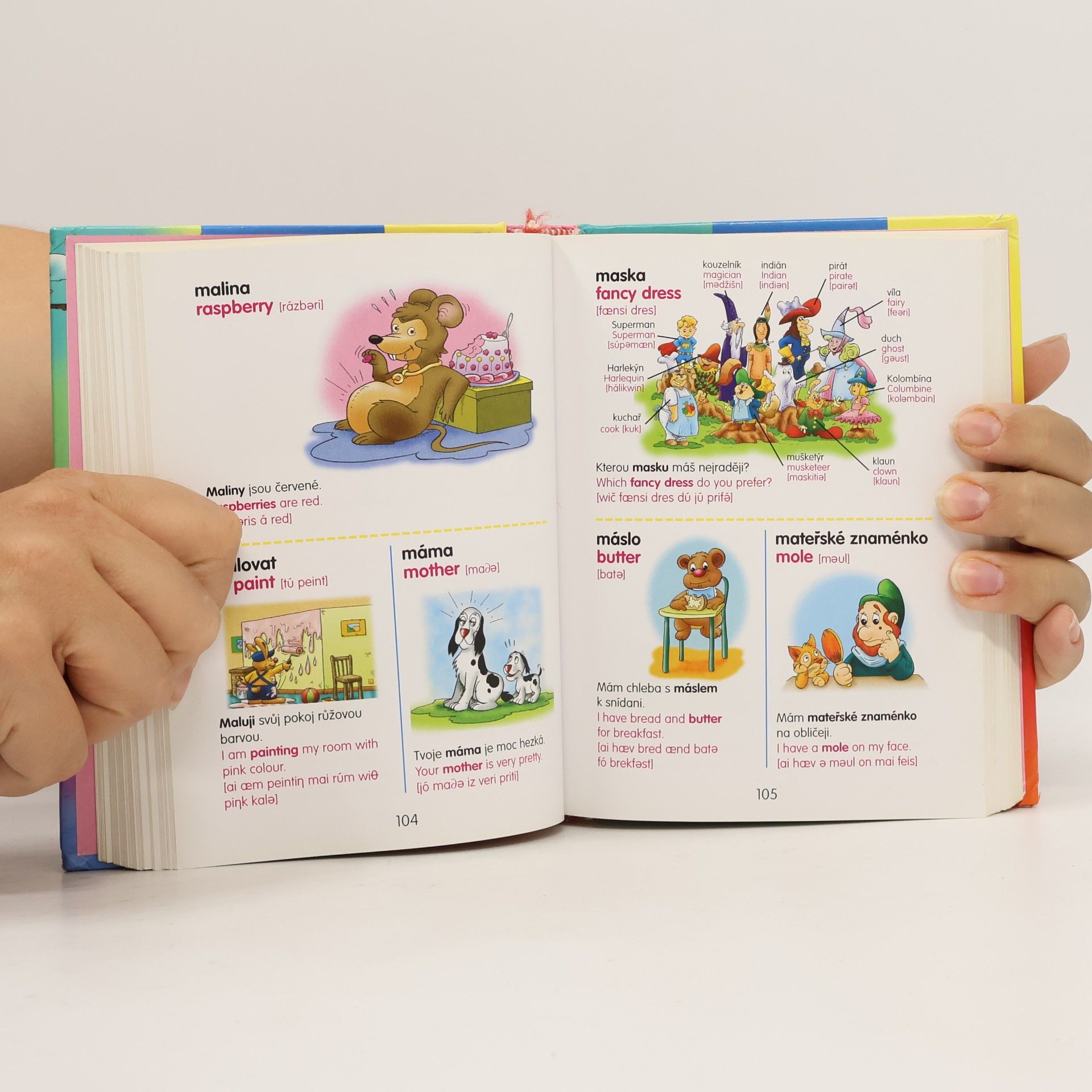 Autorenkollektiv Slovník česko-anglický