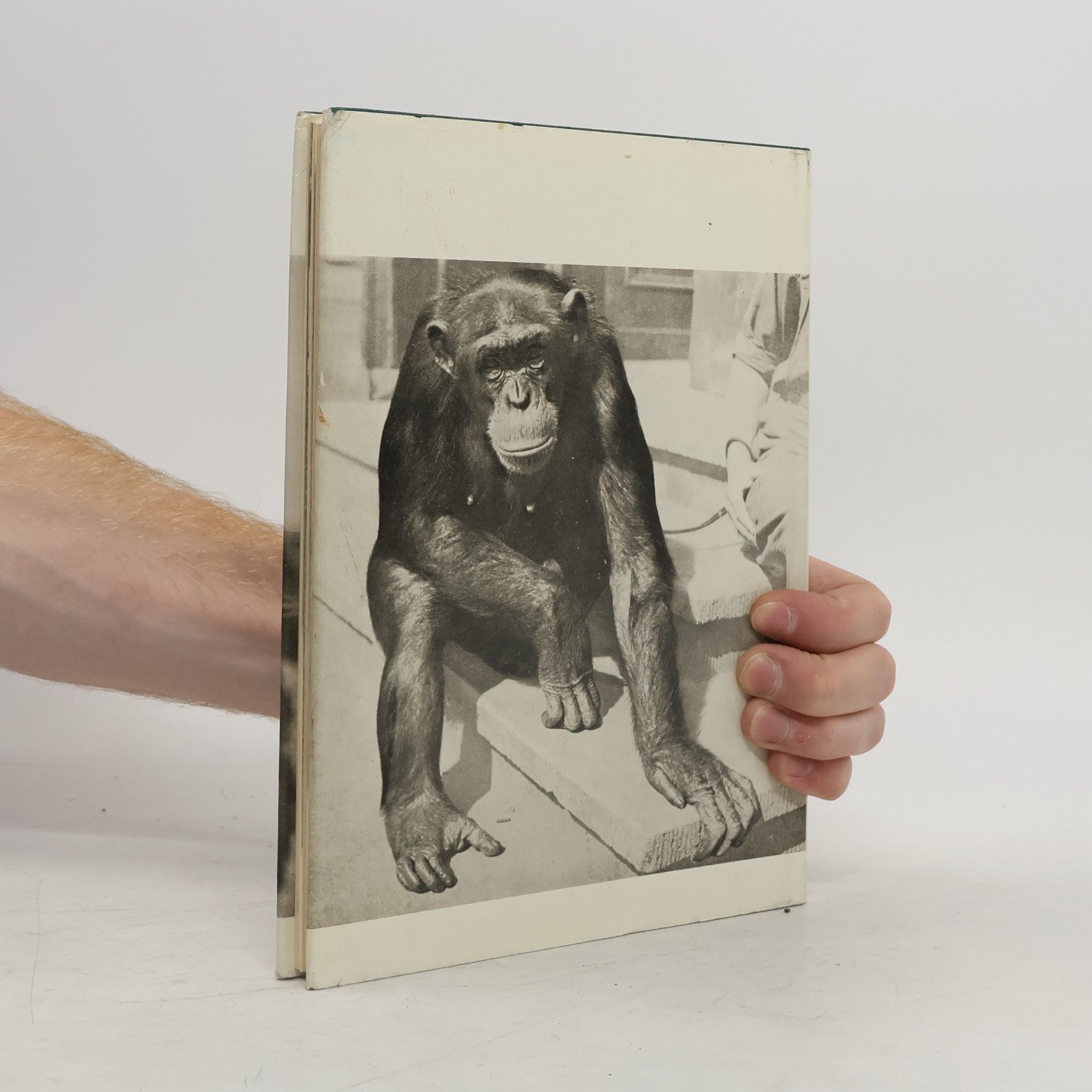 Heinrich Dathe Erlebnisse mit Zootieren