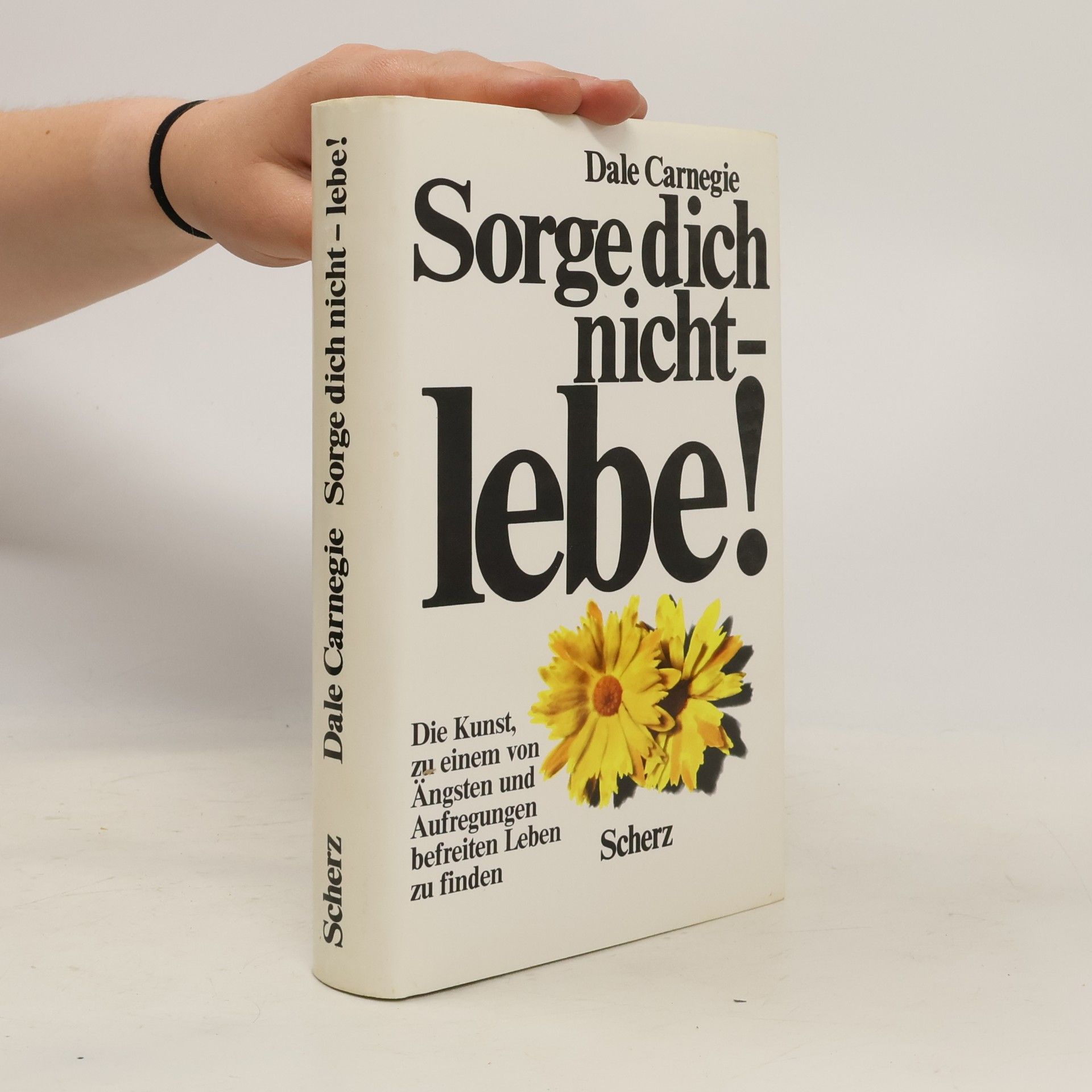Dale Carnegie Sorge dich nicht - lebe!
