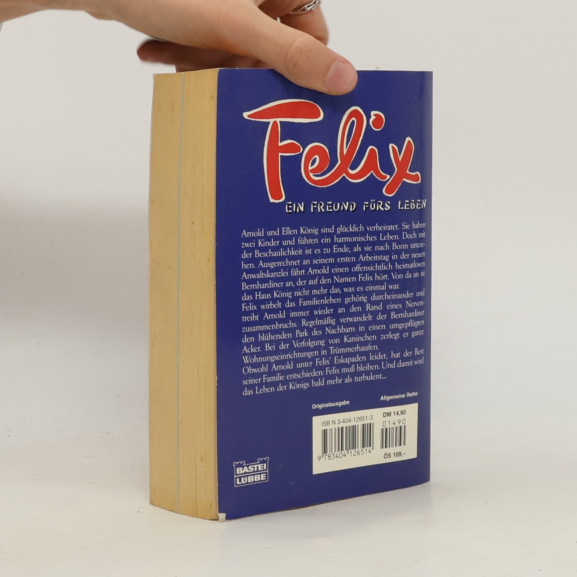 Peter Menningen Felix, ein Freund fürs Leben. Roman zur Fernsehserie