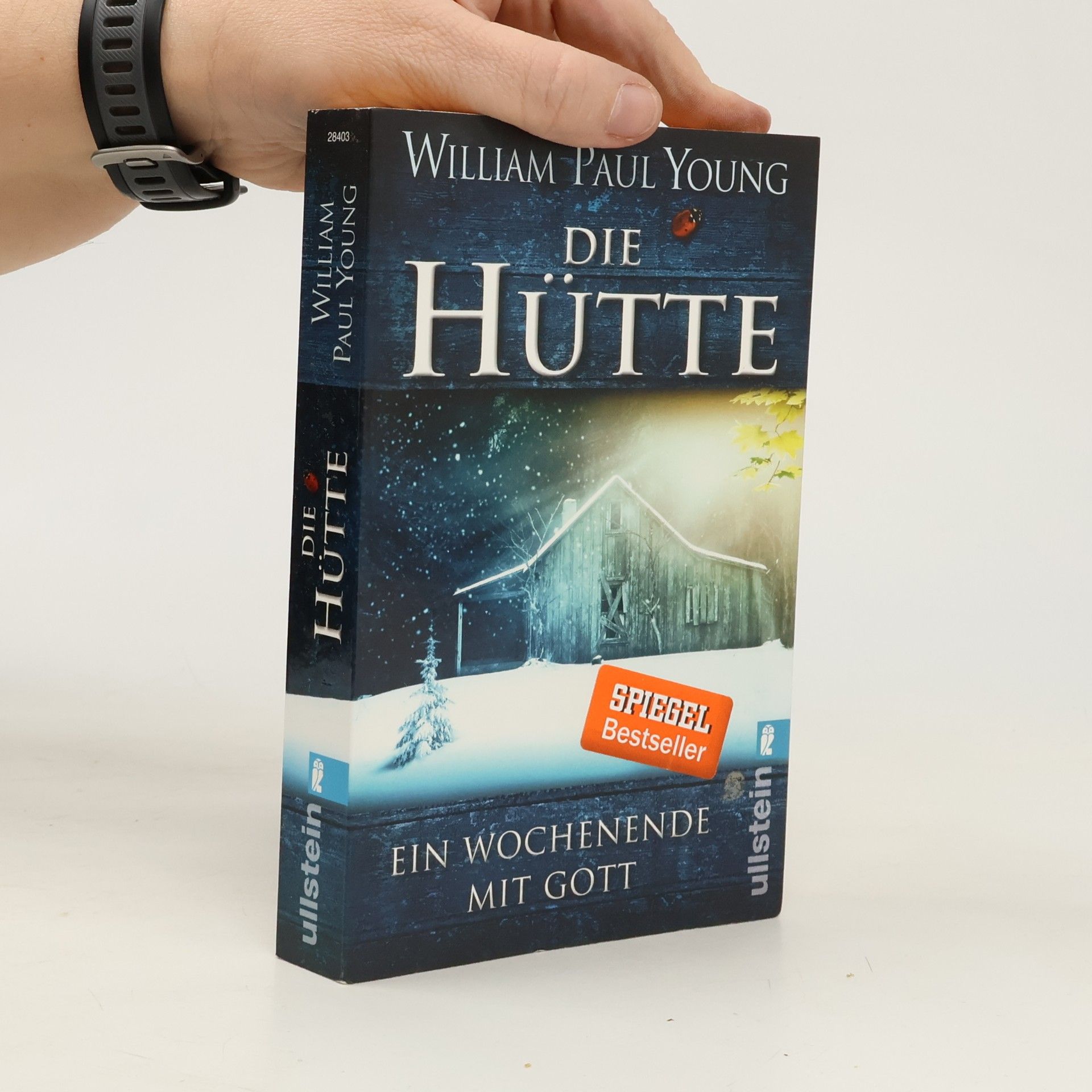 William P. Young Die Hütte