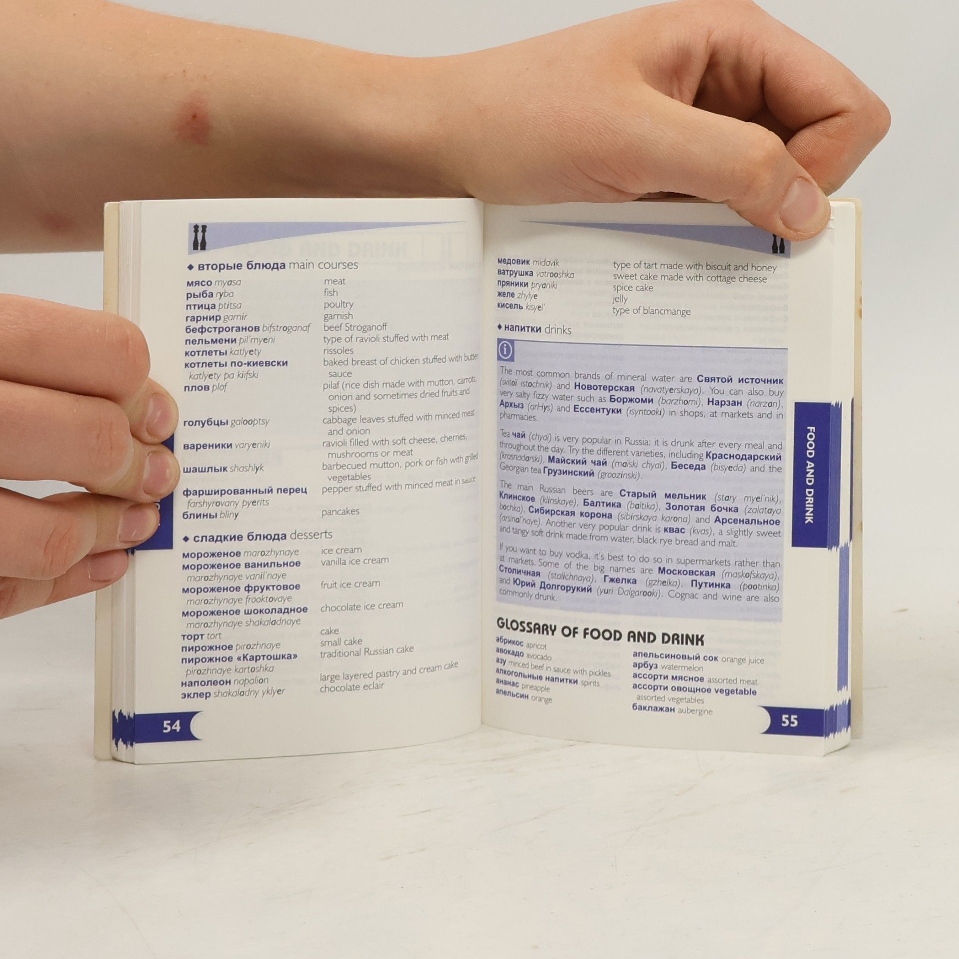 Alexandra Borodulina Chambers Russian Phrasebook