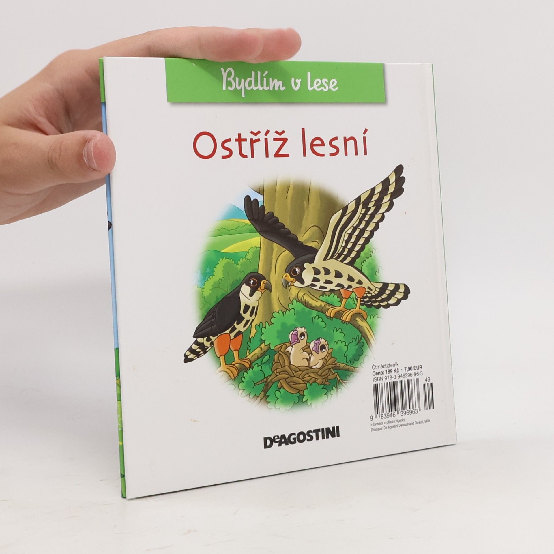 Kolektiv autorů Bydlím v lese. Ostříž lesní. 34
