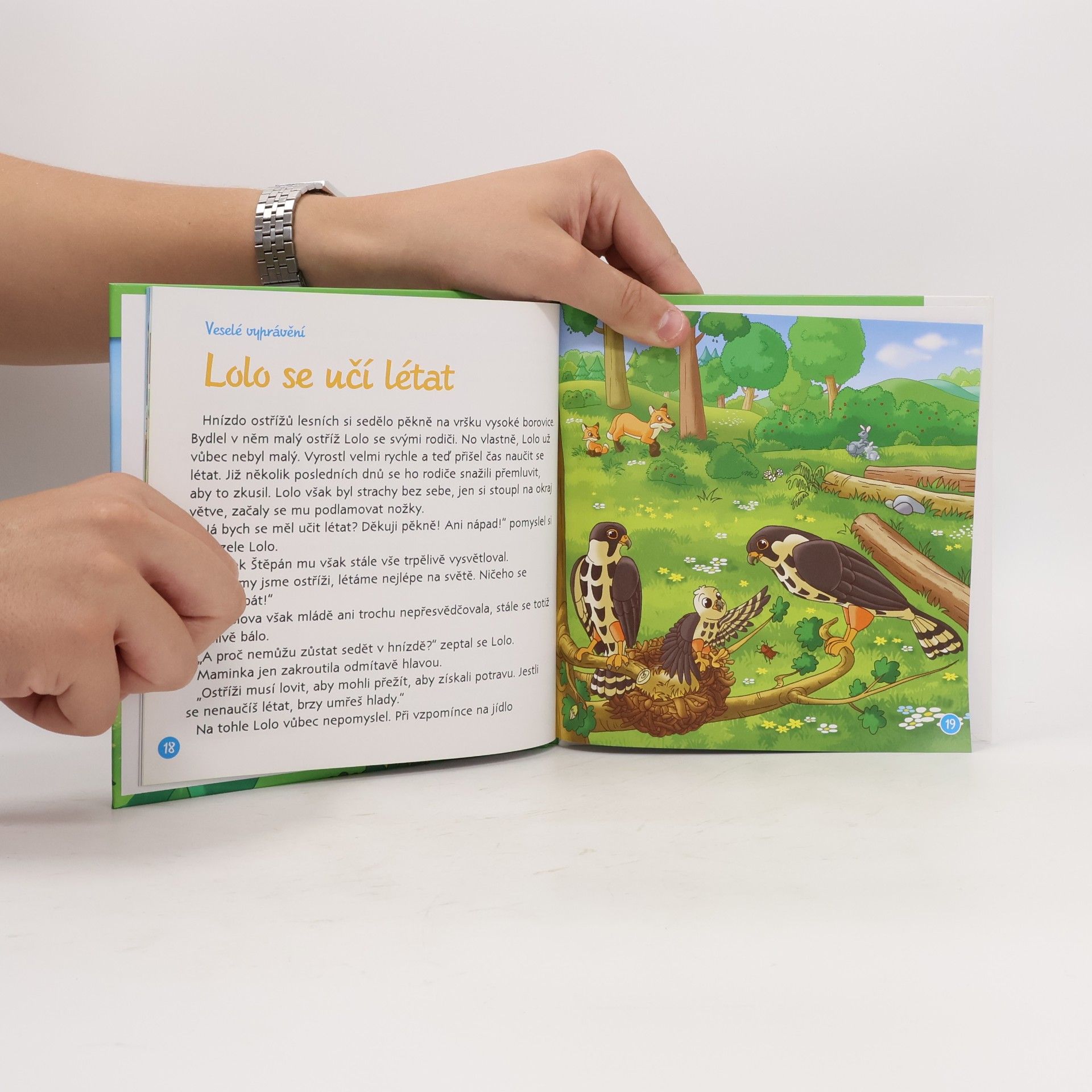 Kolektiv autorů Bydlím v lese. Ostříž lesní. 34