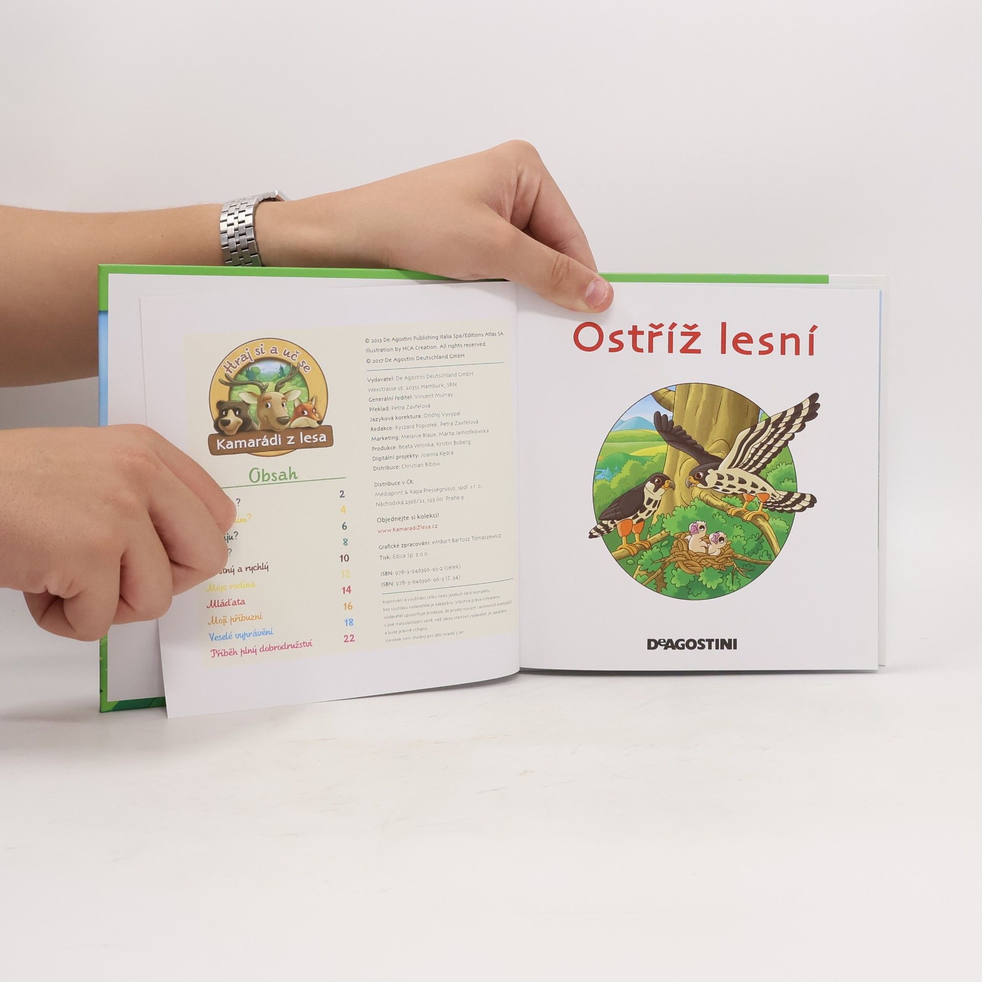 Kolektiv autorů Bydlím v lese. Ostříž lesní. 34