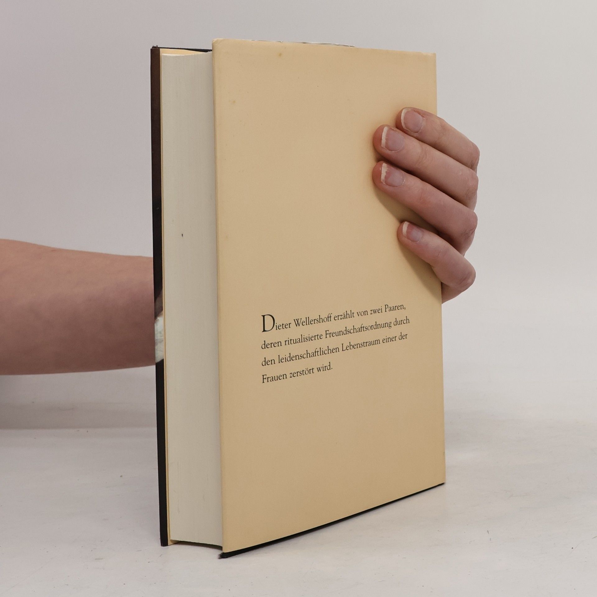 Dieter Wellershoff Der Liebeswunsch