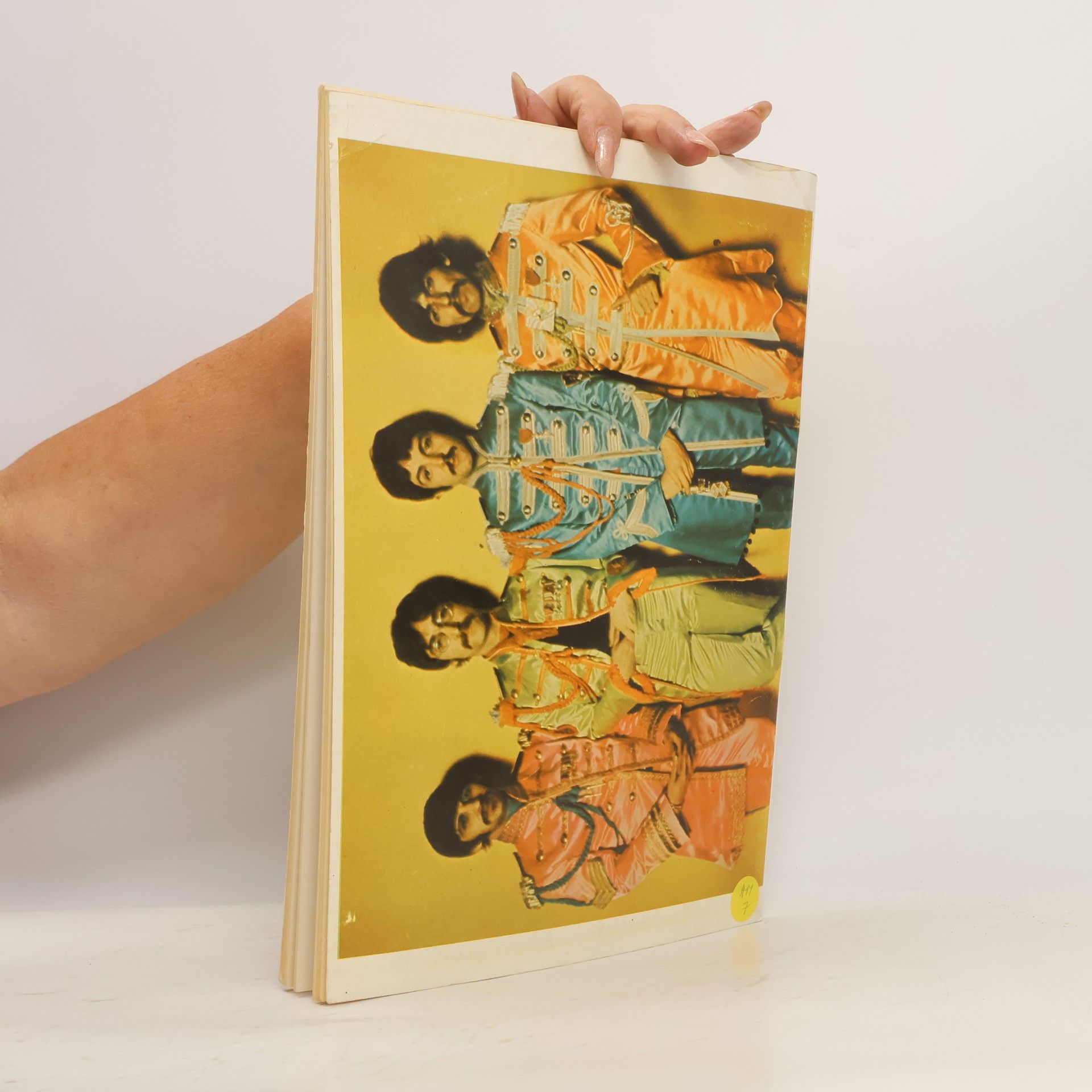 Autorenkollektiv Die Beatles und ihre Songs 8