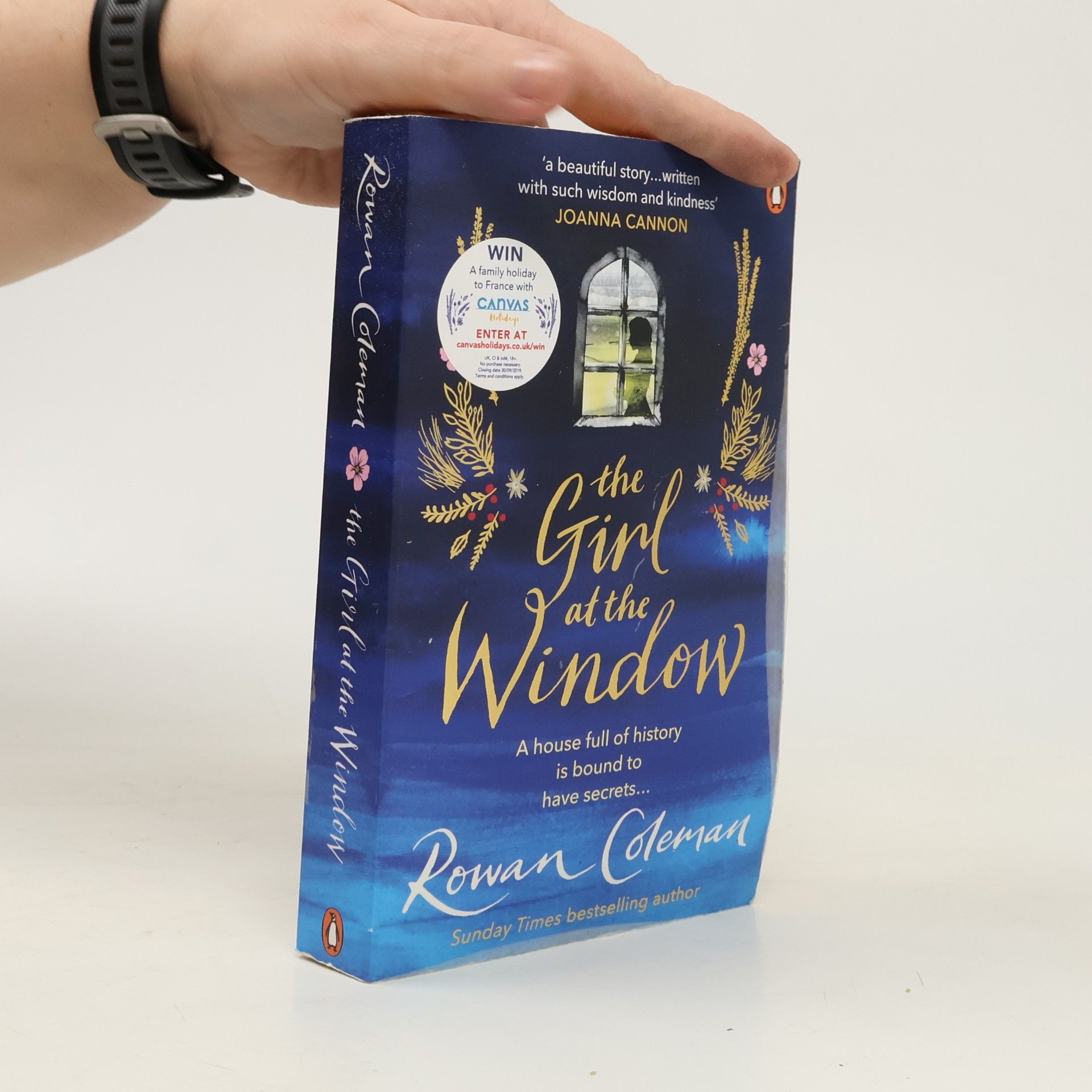 Rowan Coleman The Girl at the Window