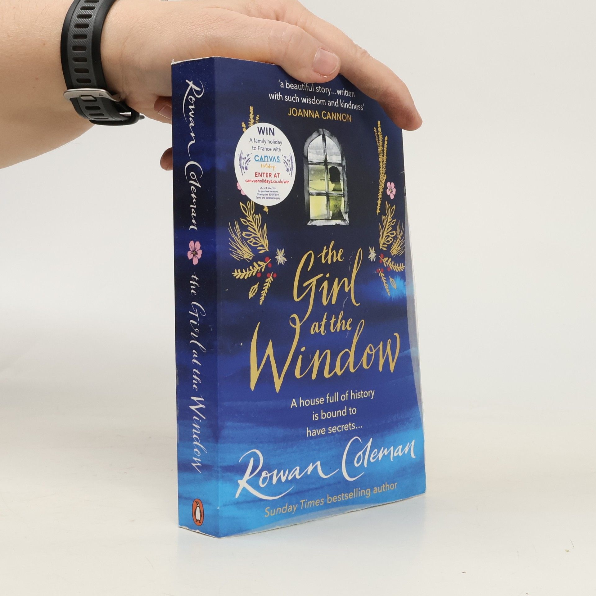 Rowan Coleman The Girl at the Window