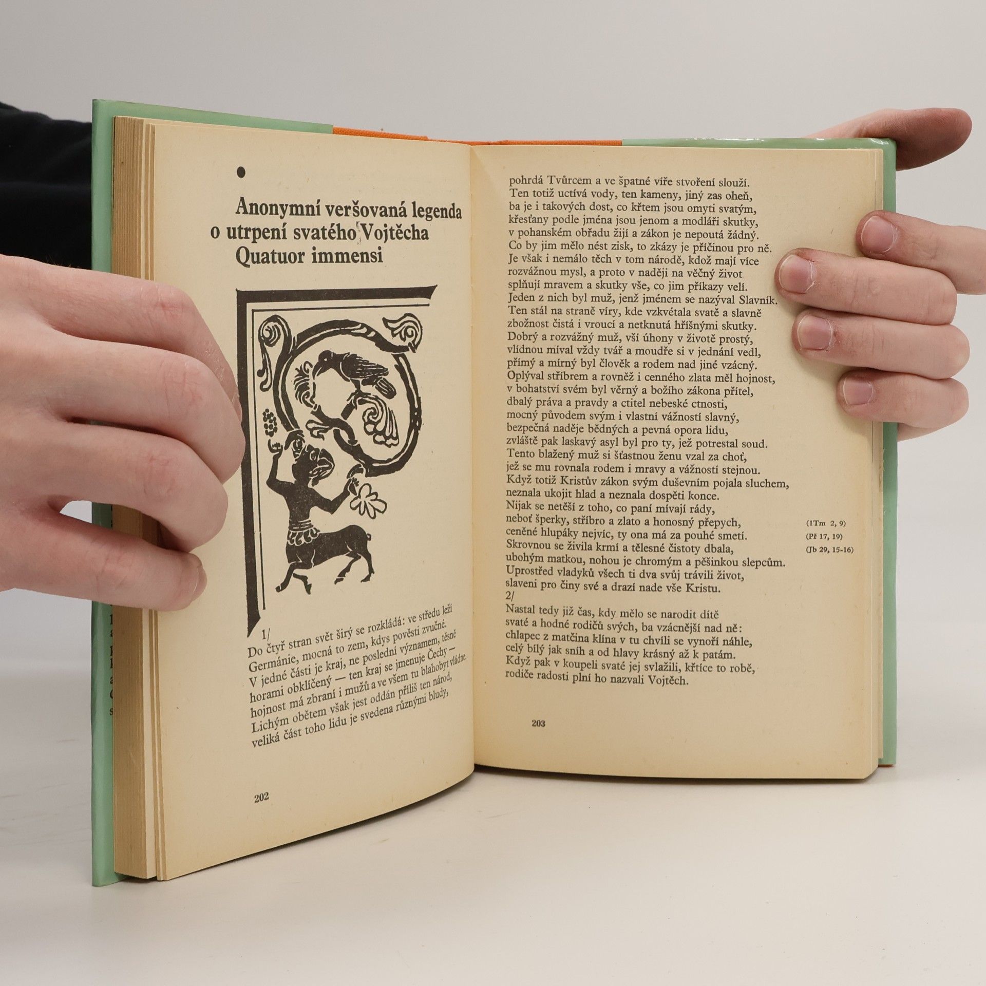 Autorenkollektiv Slavníkovci ve středověkém písemnictví