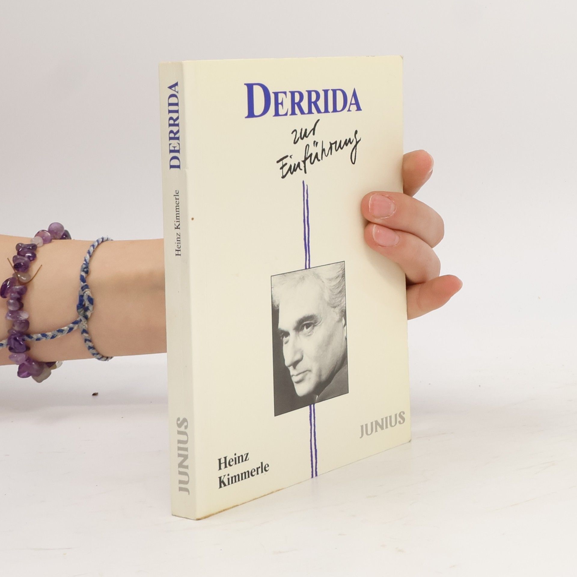 Heinz Kimmerle Derrida zur Einführung