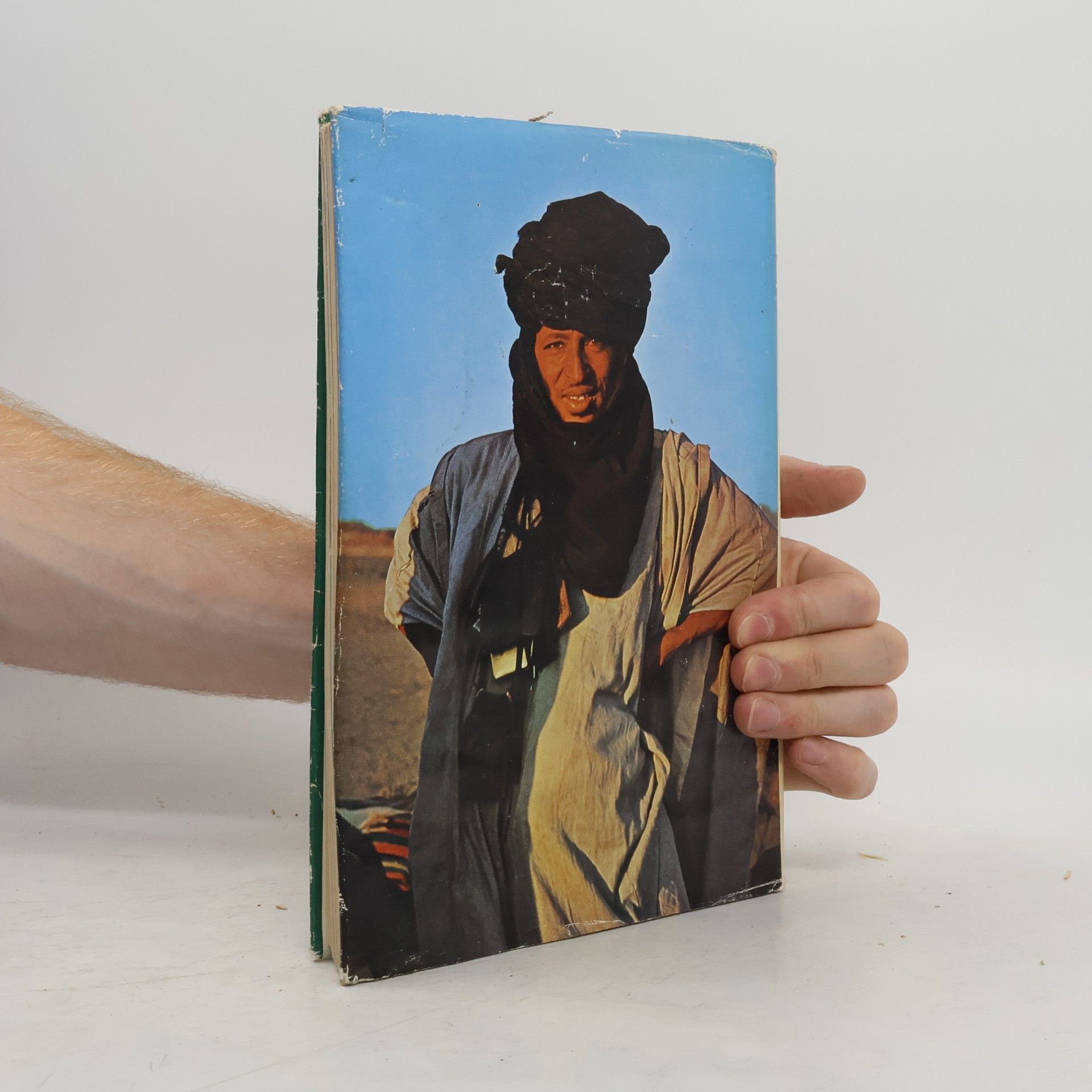 Werner Wrage Ins Herz der Sahara