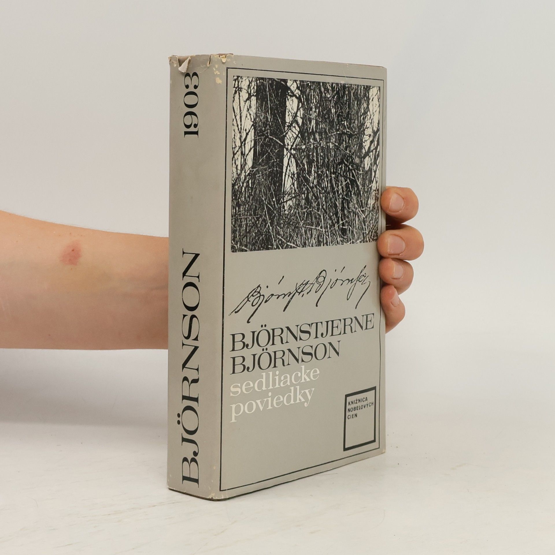 Bjørnstjerne Bjørnson Sedliacke poviedky