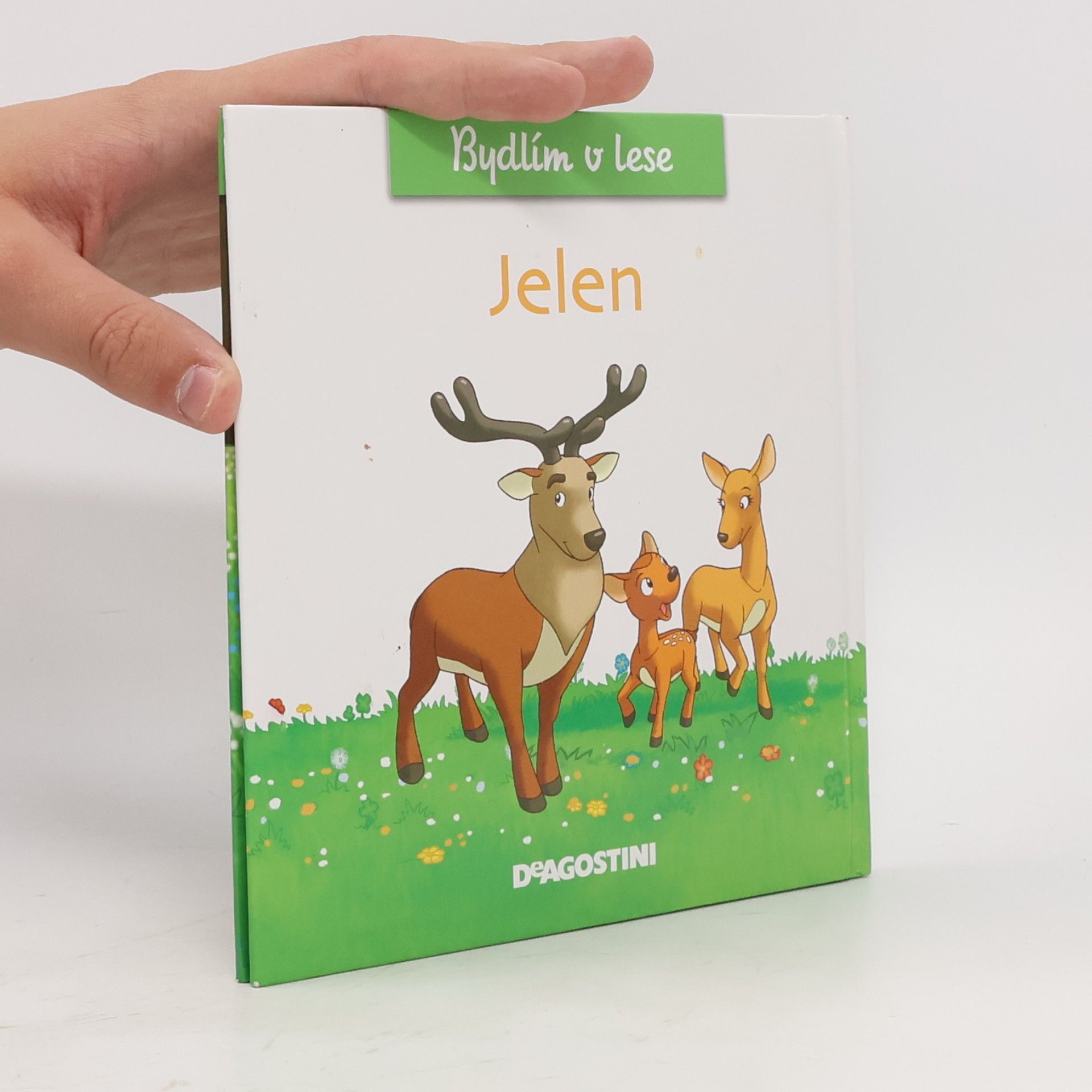 Autorenkollektiv Bydlím v lese. Jelen