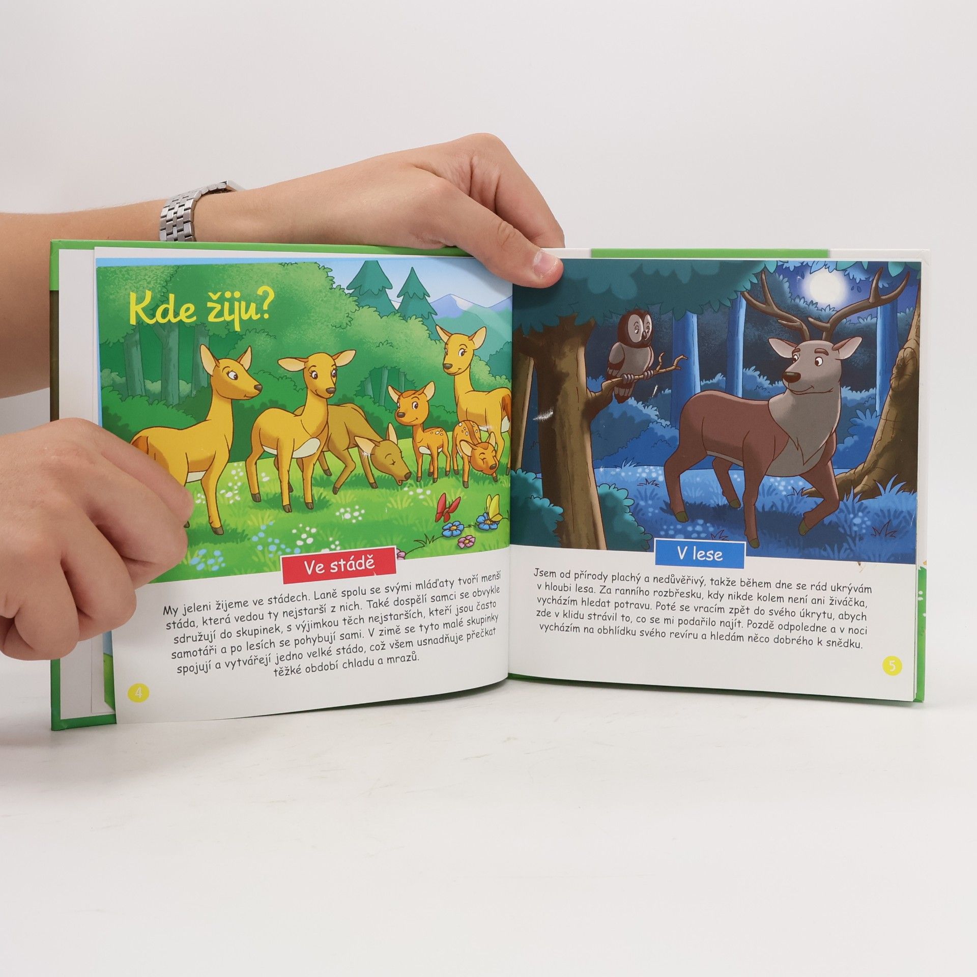 Autorenkollektiv Bydlím v lese. Jelen