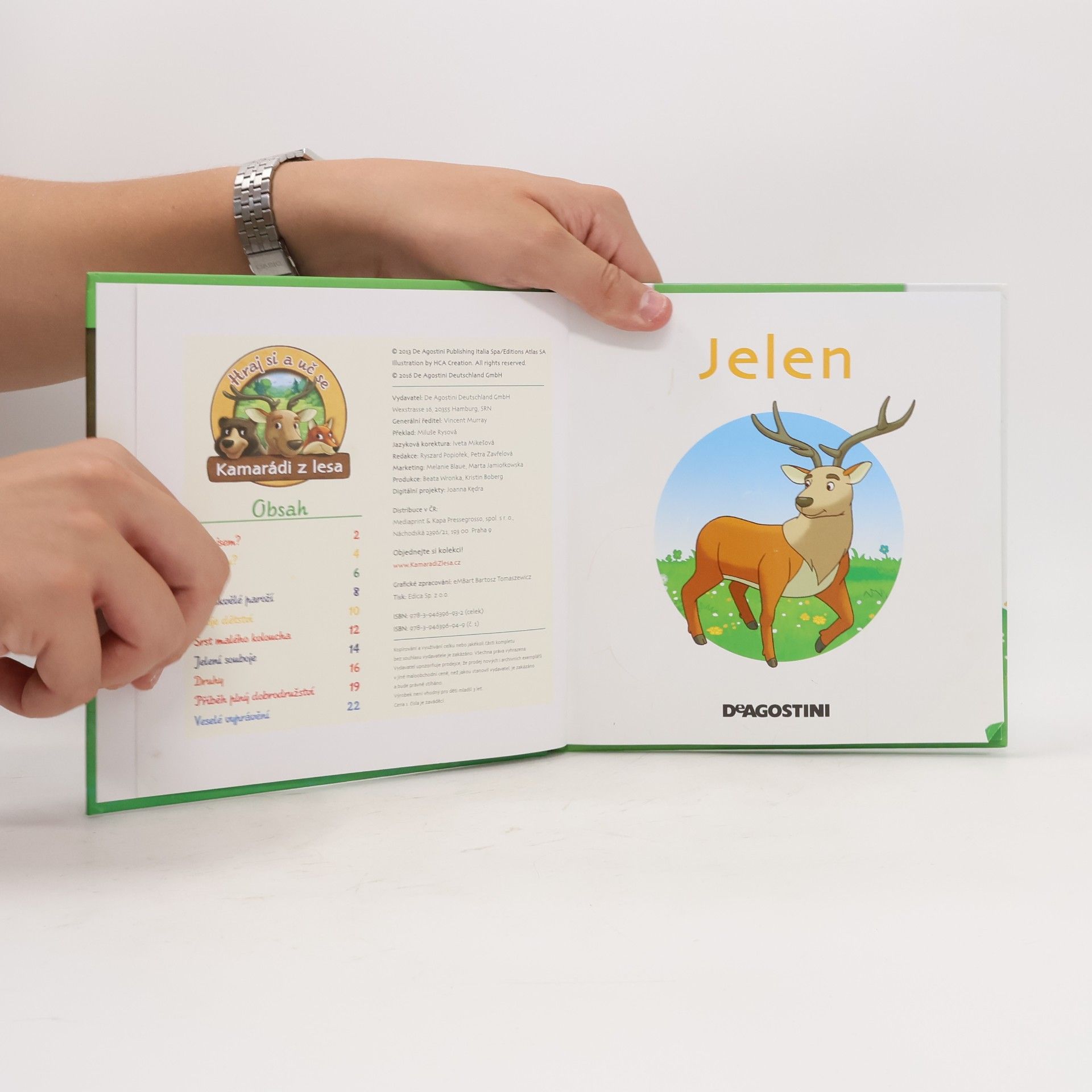 Autorenkollektiv Bydlím v lese. Jelen