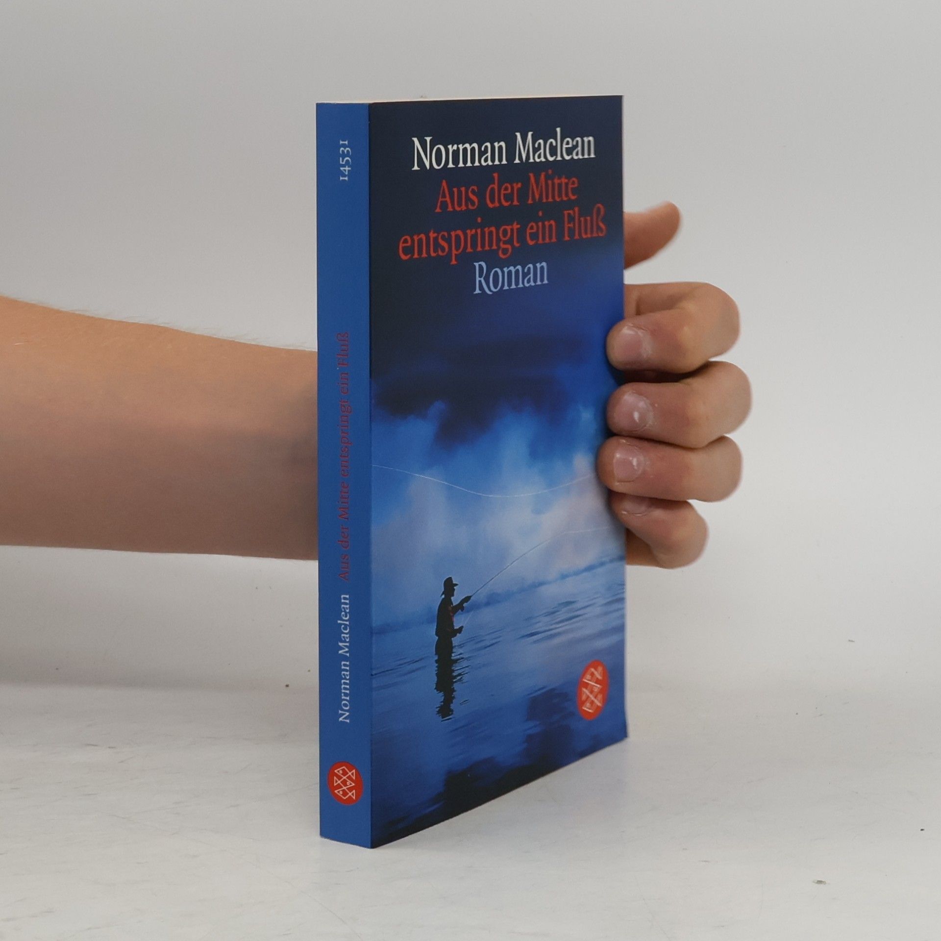 Norman Maclean Aus der Mitte entspringt ein Fluß