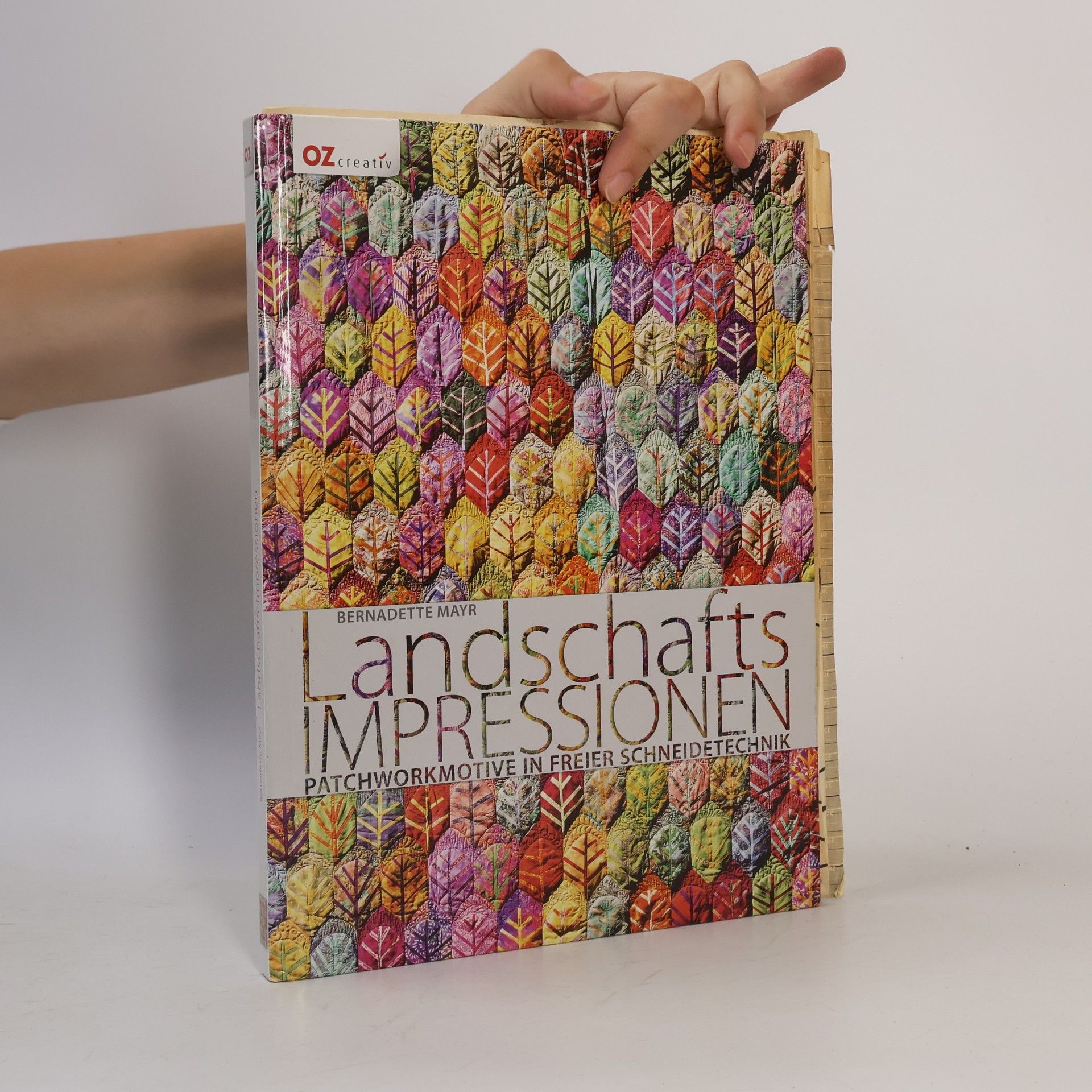 Bernadette Mayr Landschafts-Impressionen
