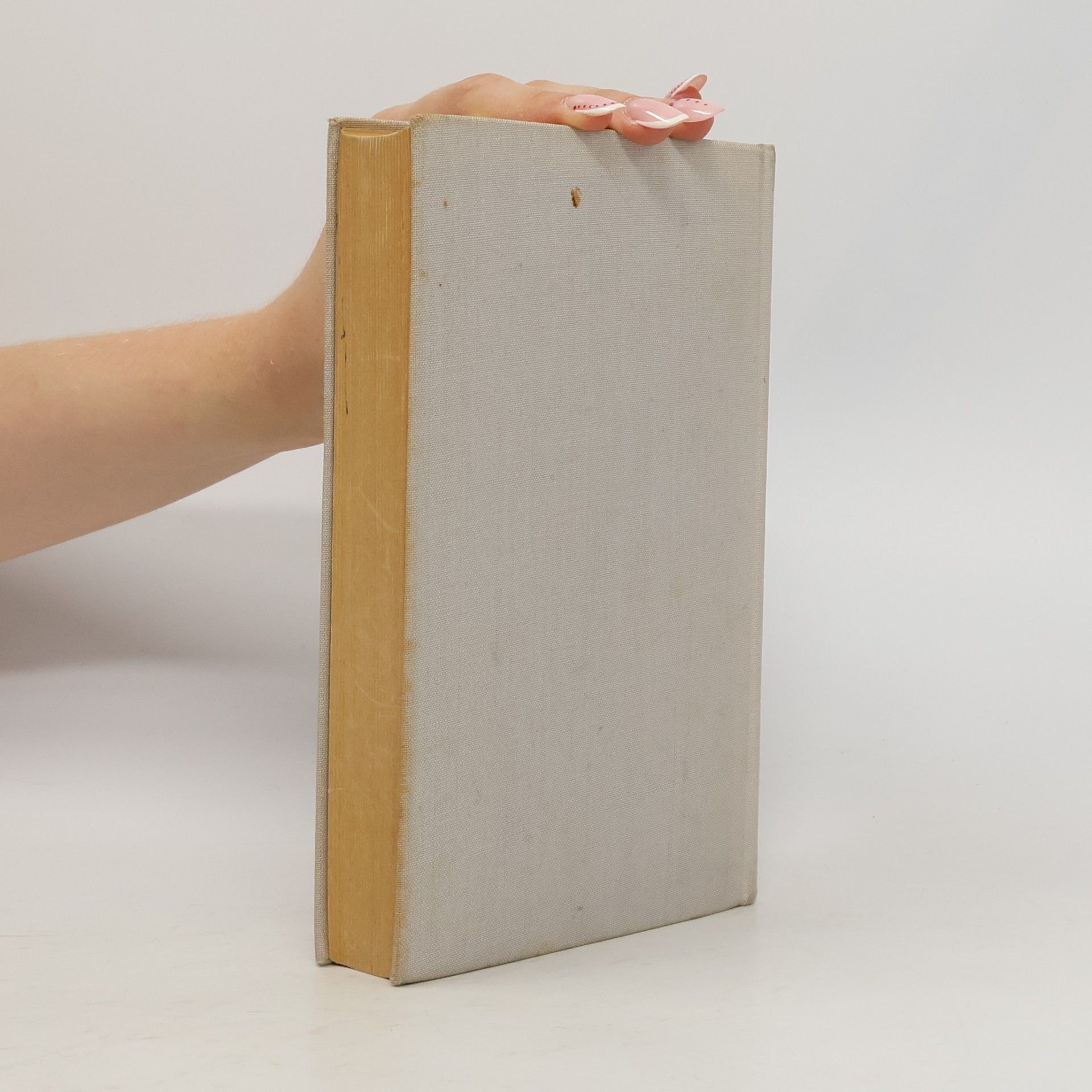 Collectif d'auteurs Kleines Politisches Wörterbuch