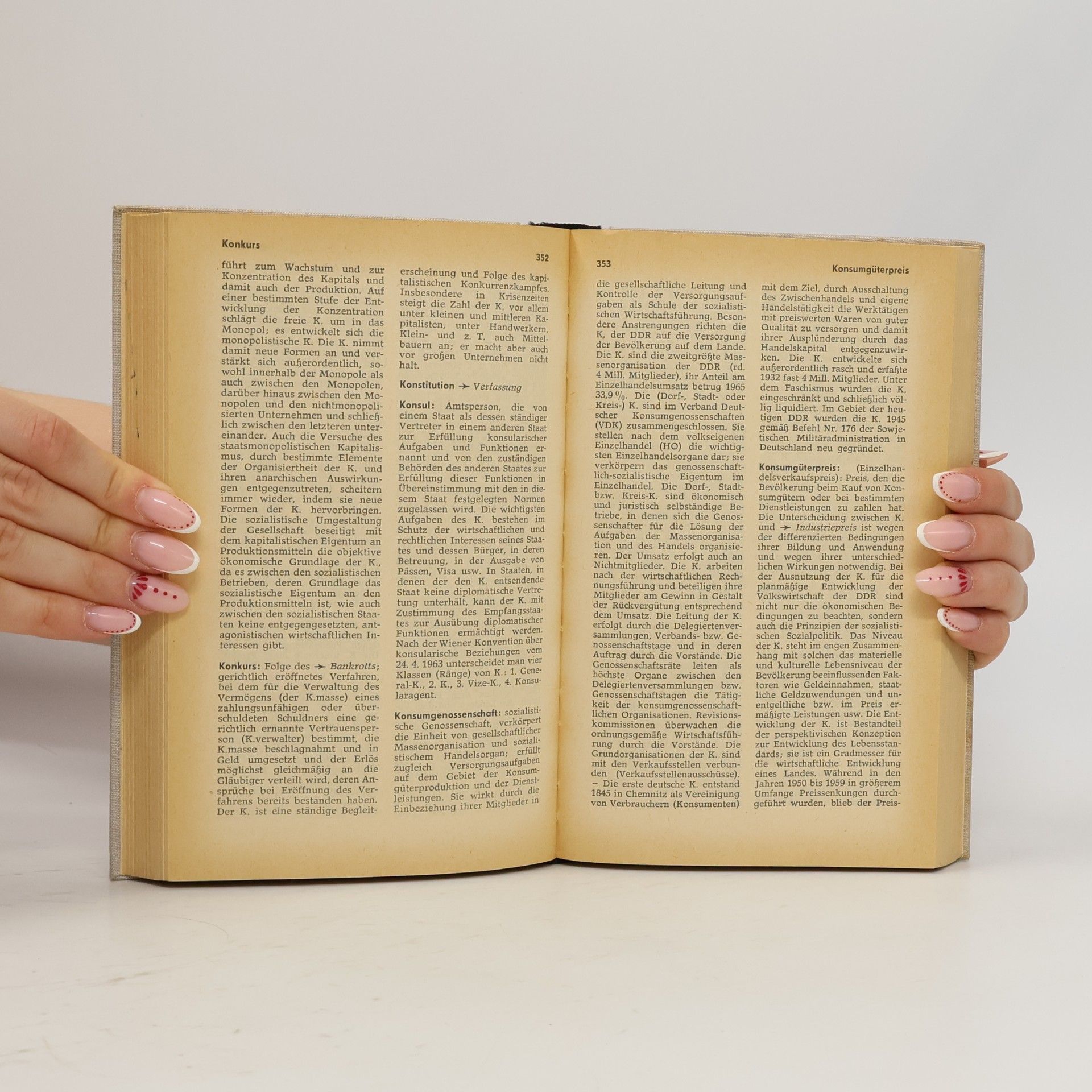 Collectif d'auteurs Kleines Politisches Wörterbuch