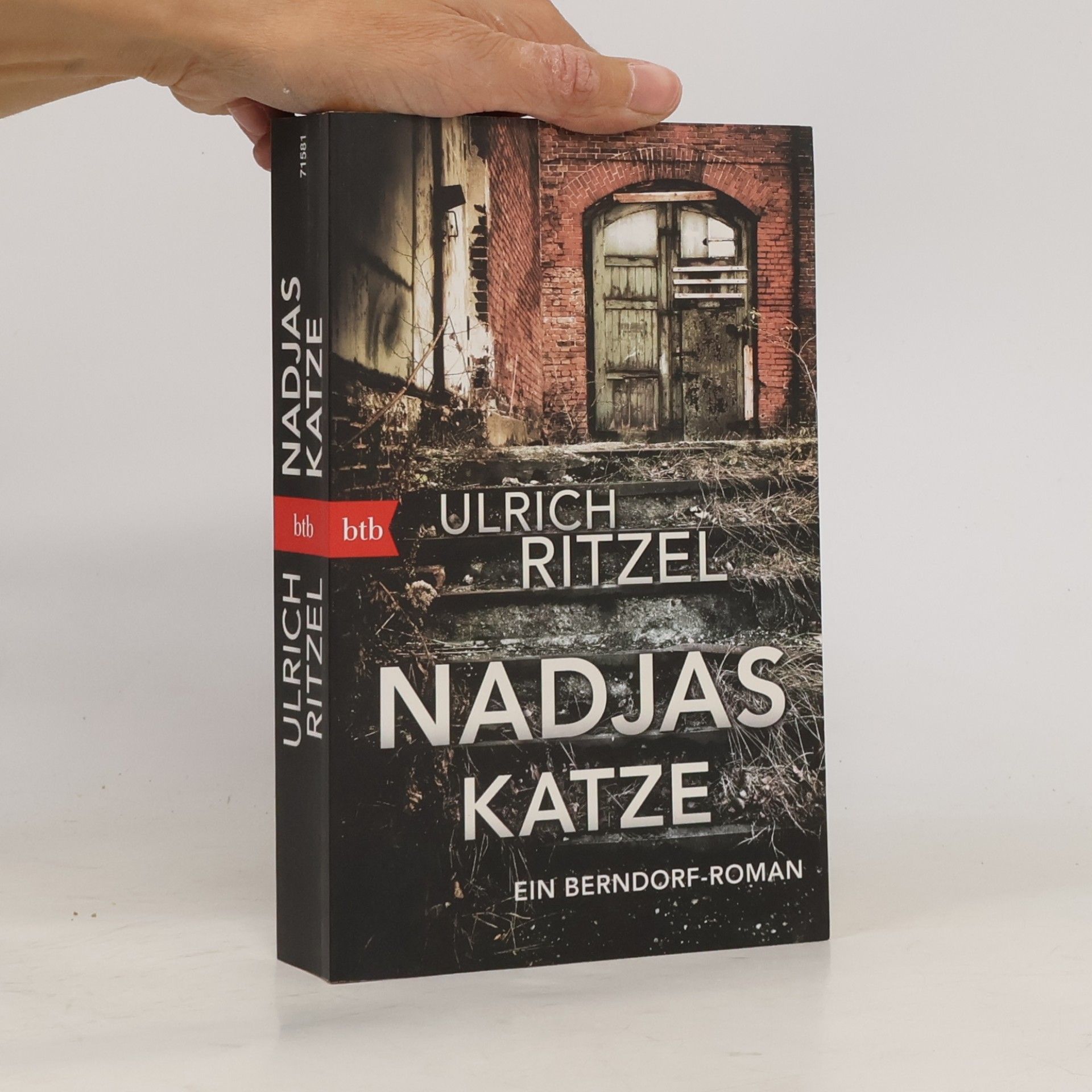 Ulrich Ritzel Nadjas Katze