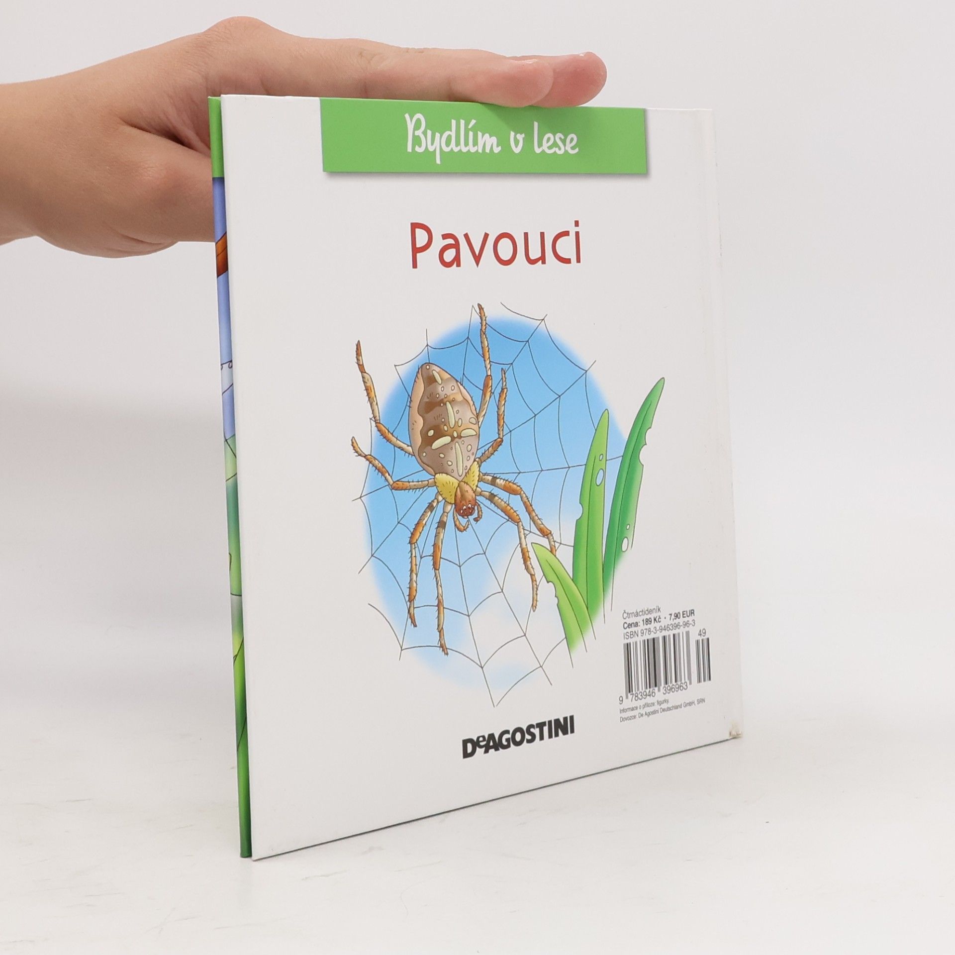 Kolektiv autorů Bydlím v lese 60. Pavouci