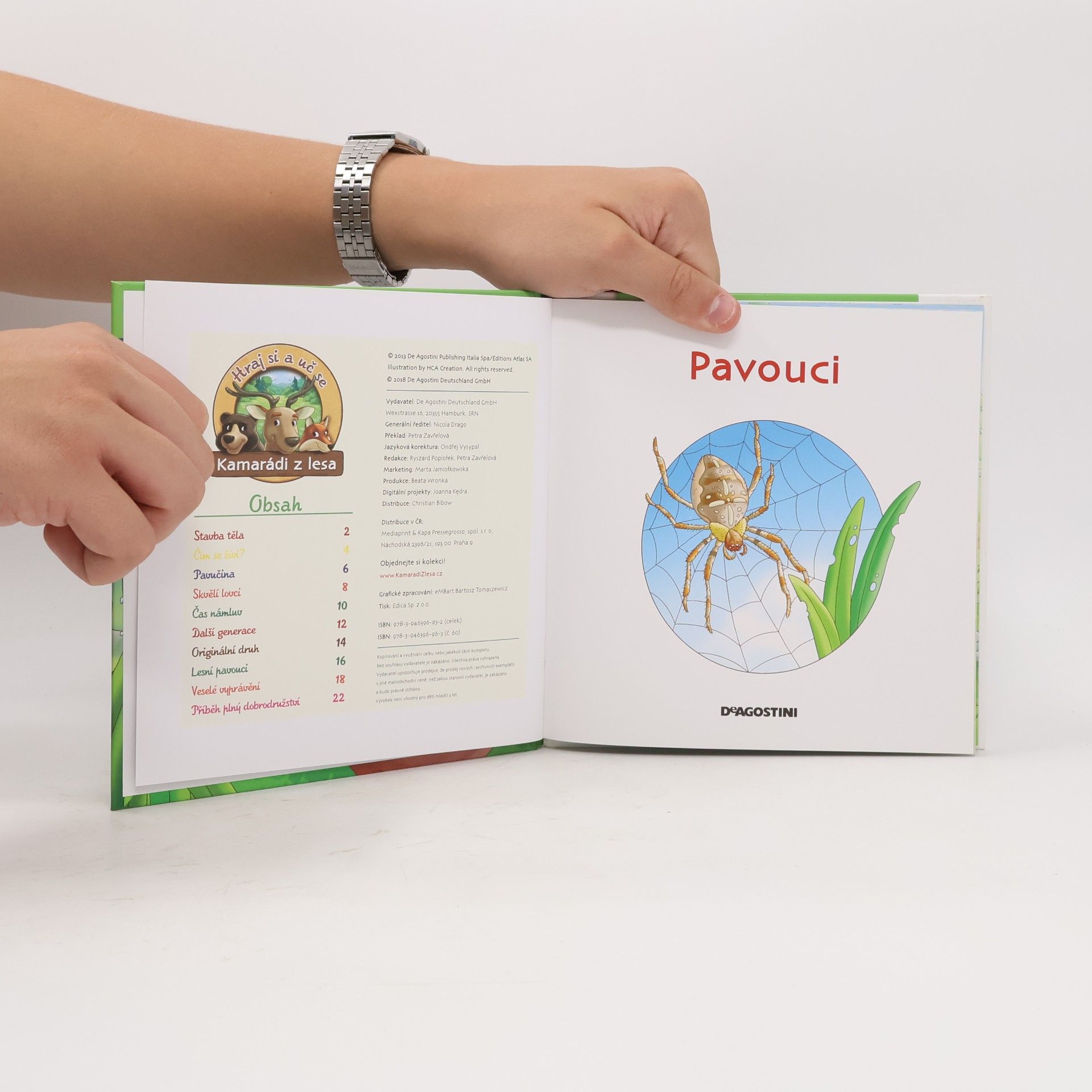 Kolektiv autorů Bydlím v lese 60. Pavouci