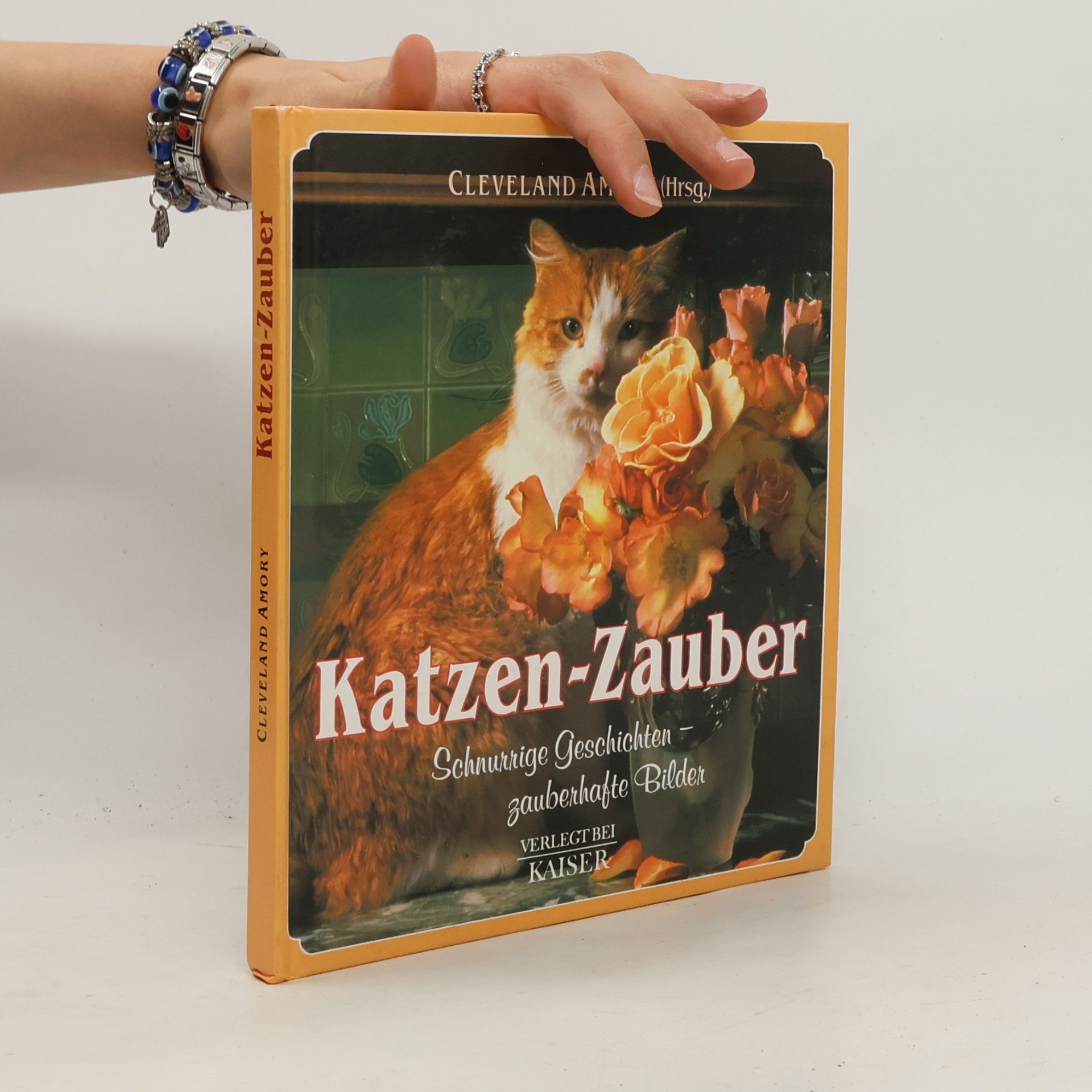 Katzen-Zauber