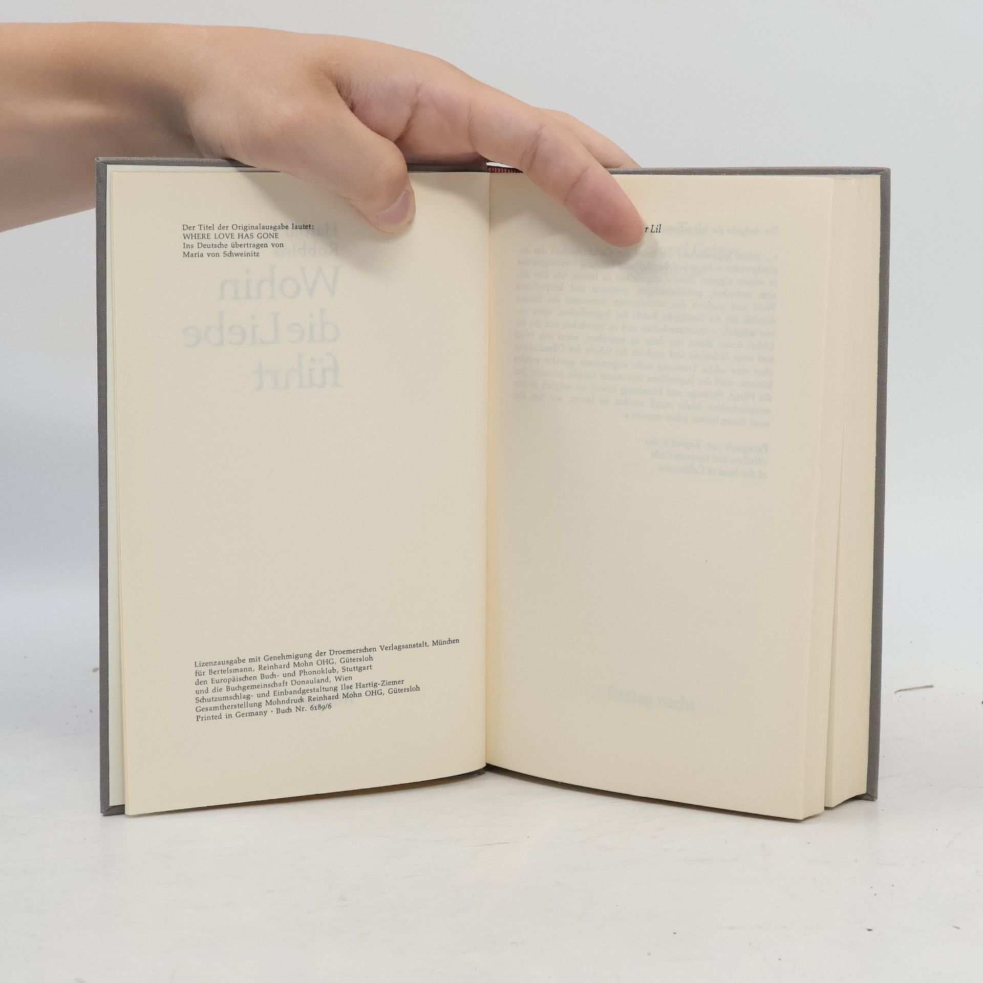 Harold Robbins Wohin die Liebe führt