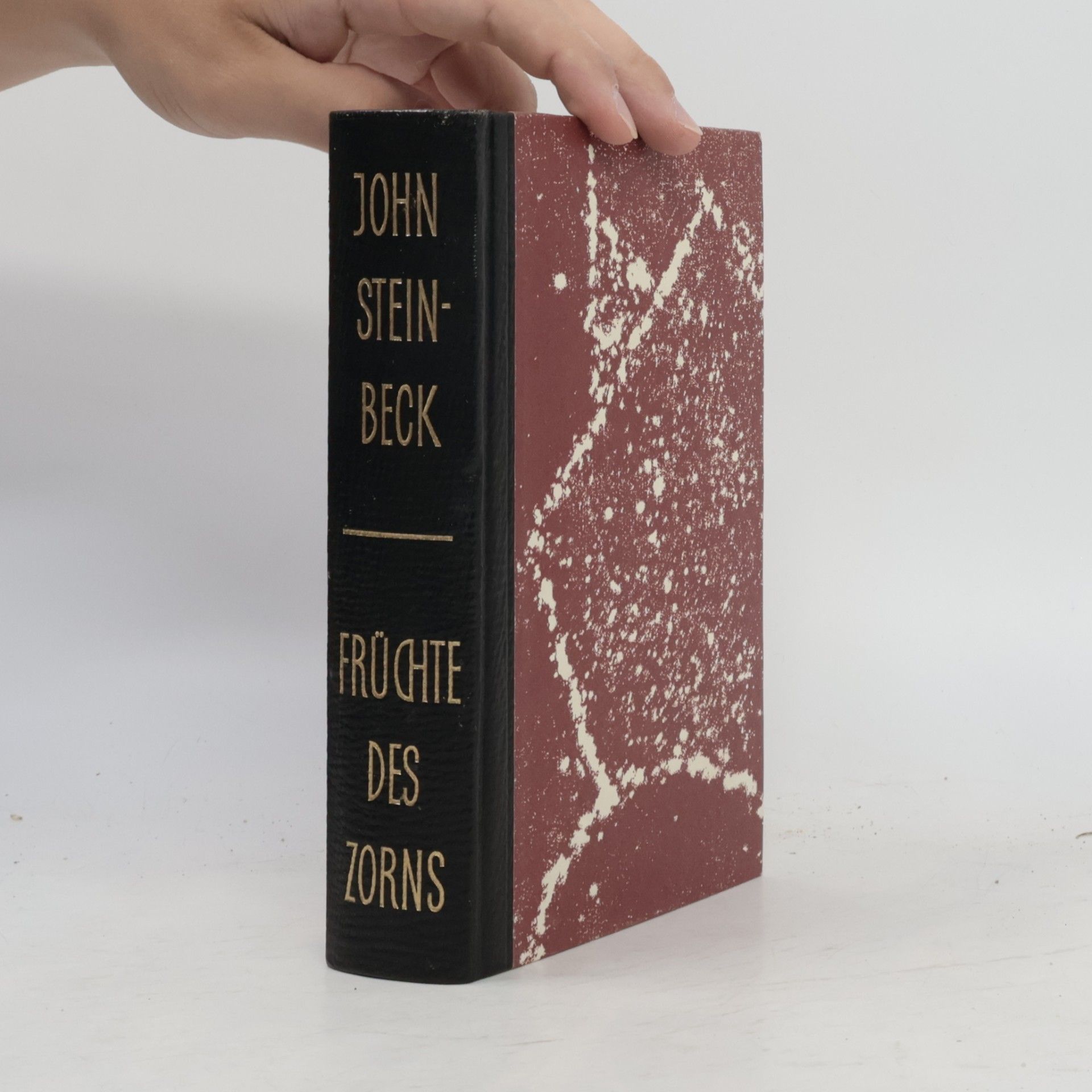 John Steinbeck Früchte des Zorns