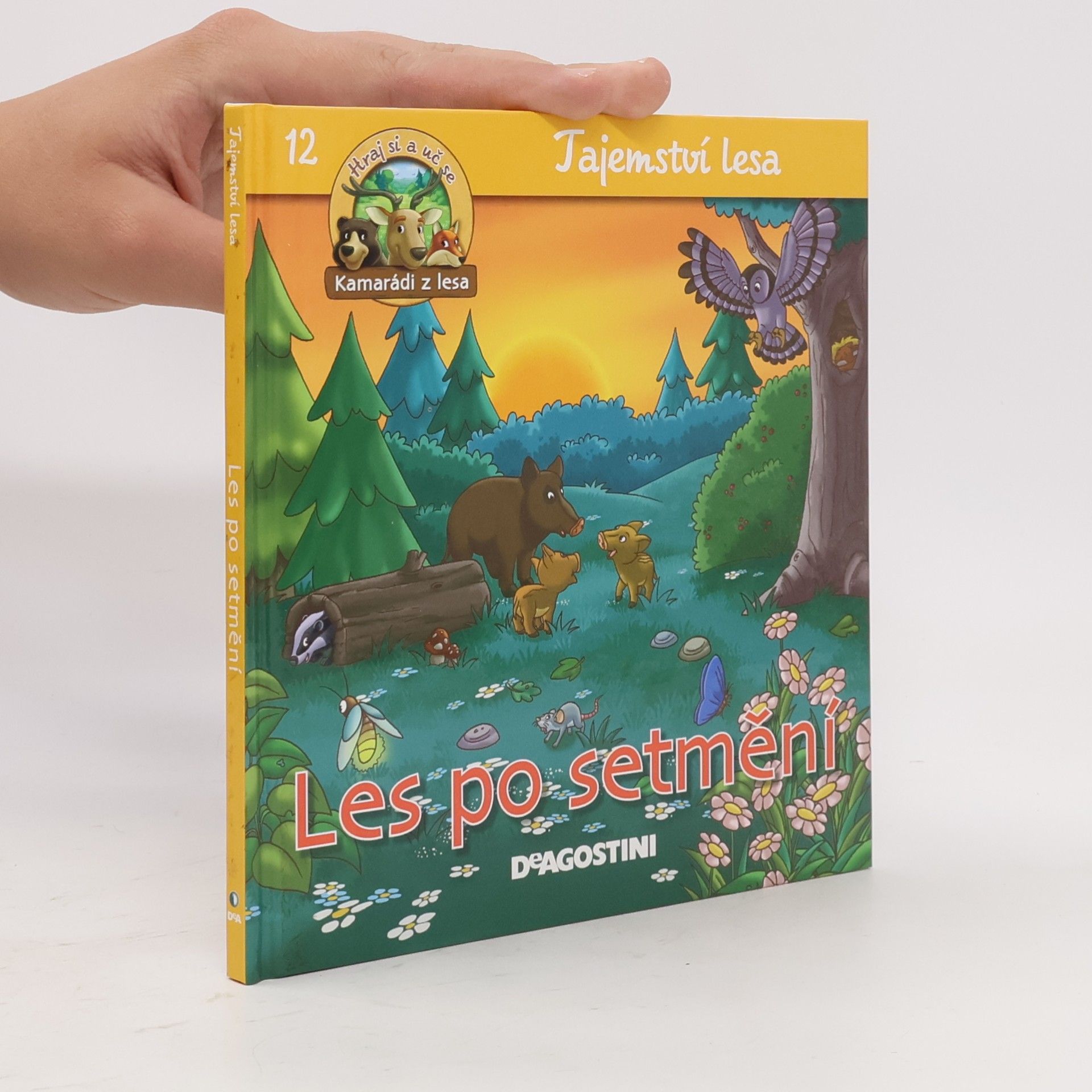 Autorenkollektiv Tajemství lesa 12. Les po setmění