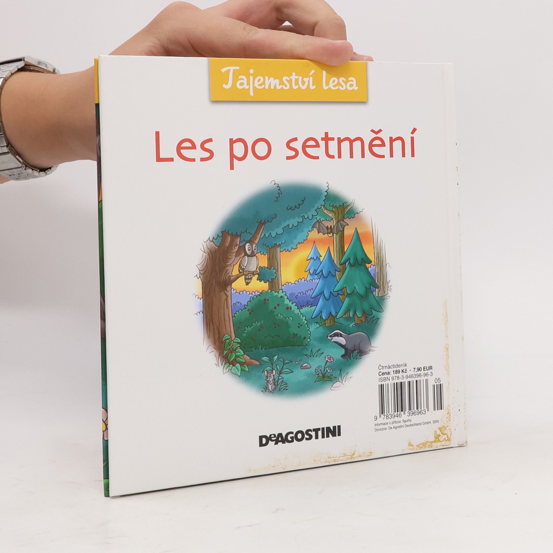Autorenkollektiv Tajemství lesa 12. Les po setmění