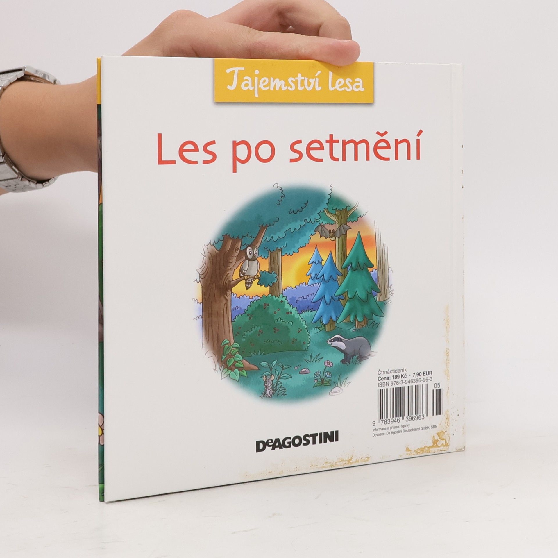 Autorenkollektiv Tajemství lesa 12. Les po setmění