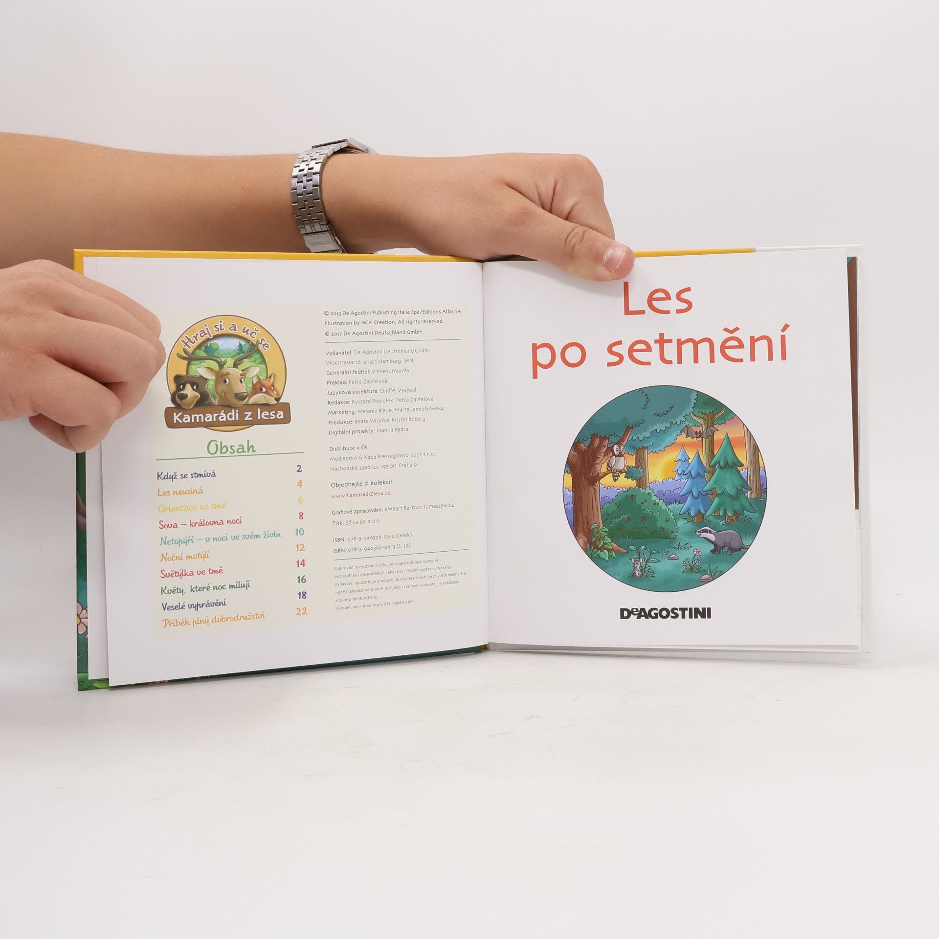 Autorenkollektiv Tajemství lesa 12. Les po setmění