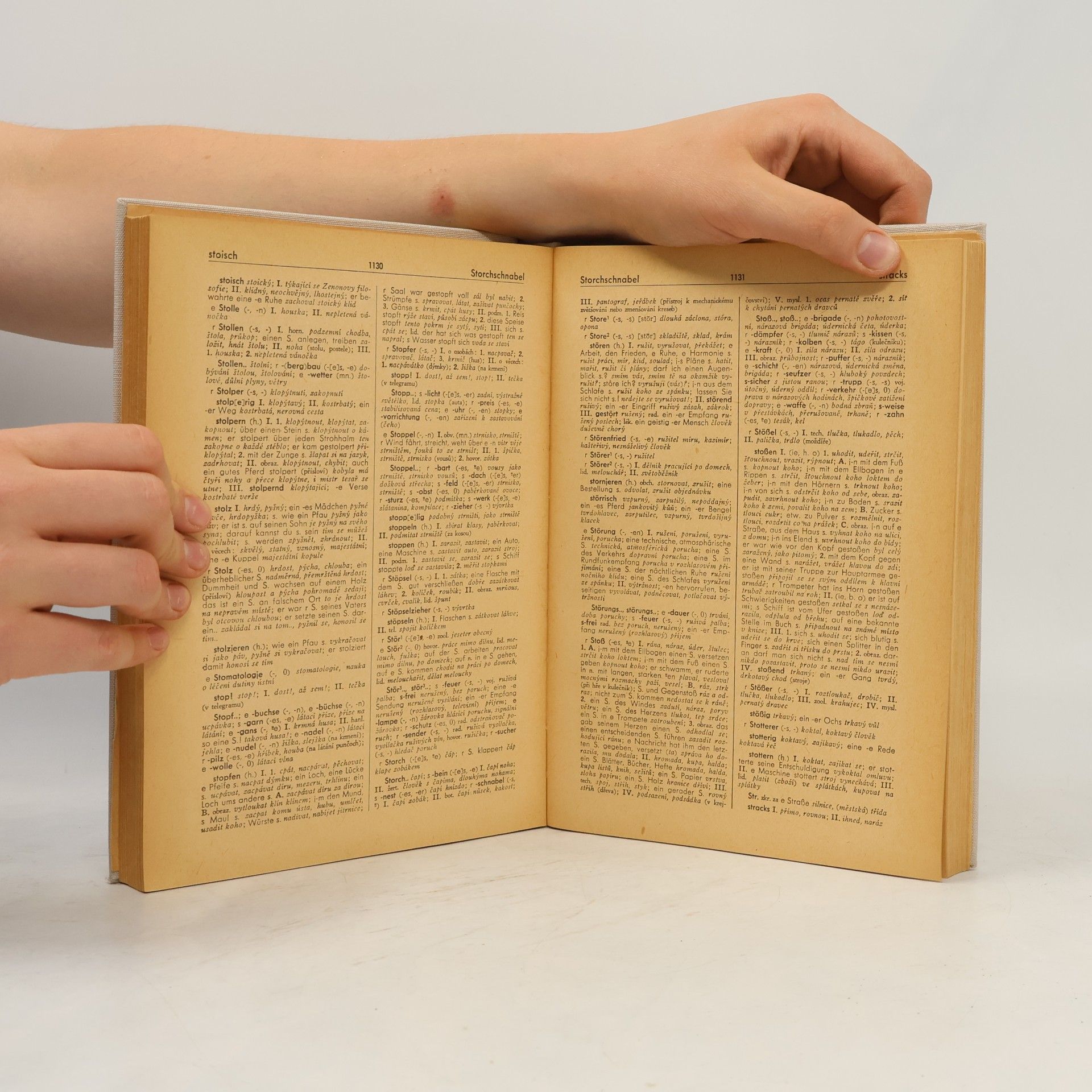 Autorenkollektiv Německo-český slovník II. M-Z