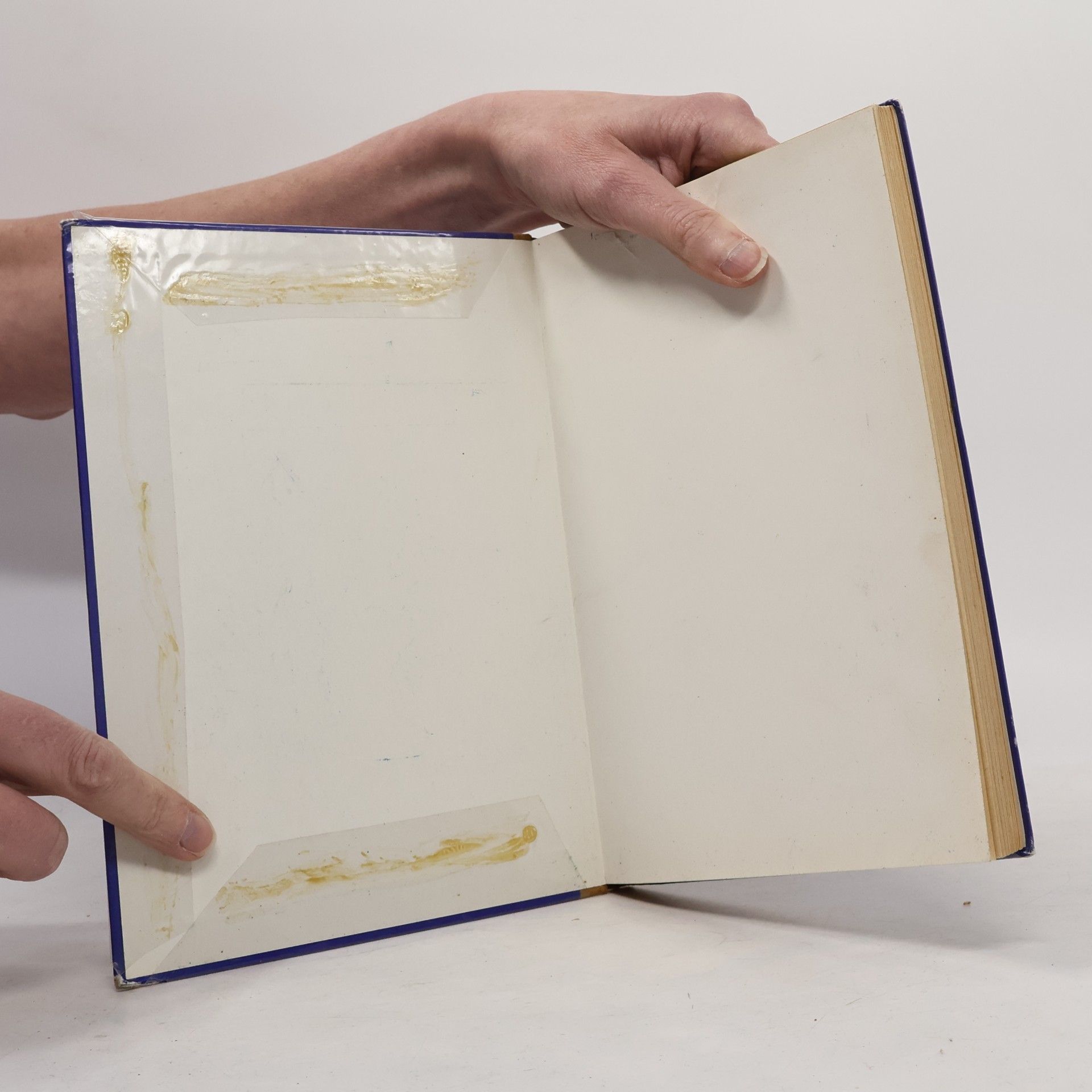 Otto Schmeil Naturgeschichte Band II