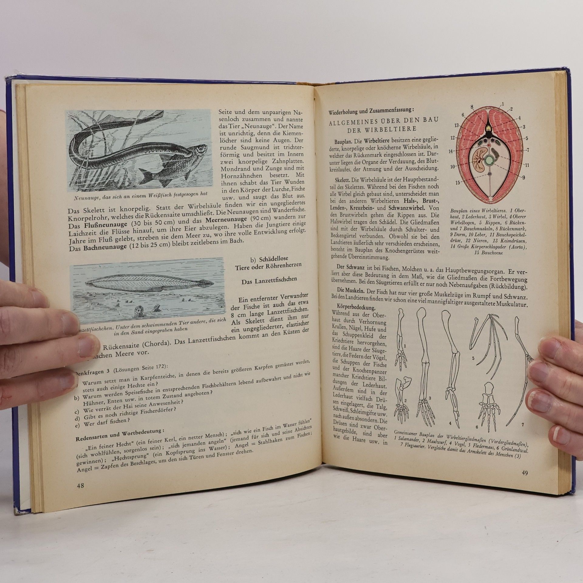 Otto Schmeil Naturgeschichte Band II
